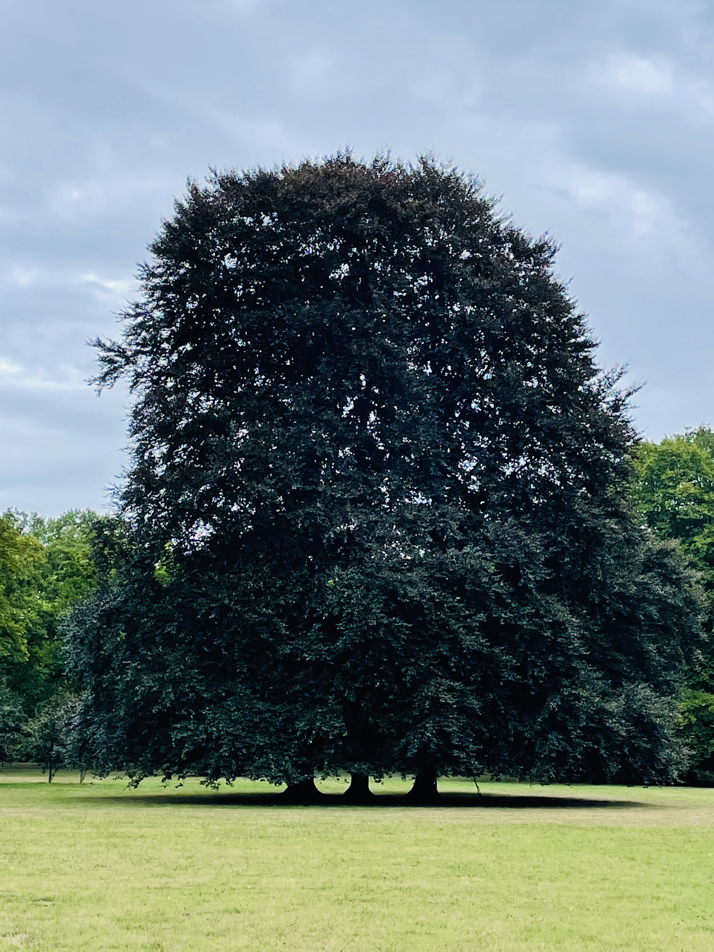 Spring, Kassel, 2022