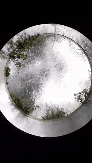 #studie #petrakunarova