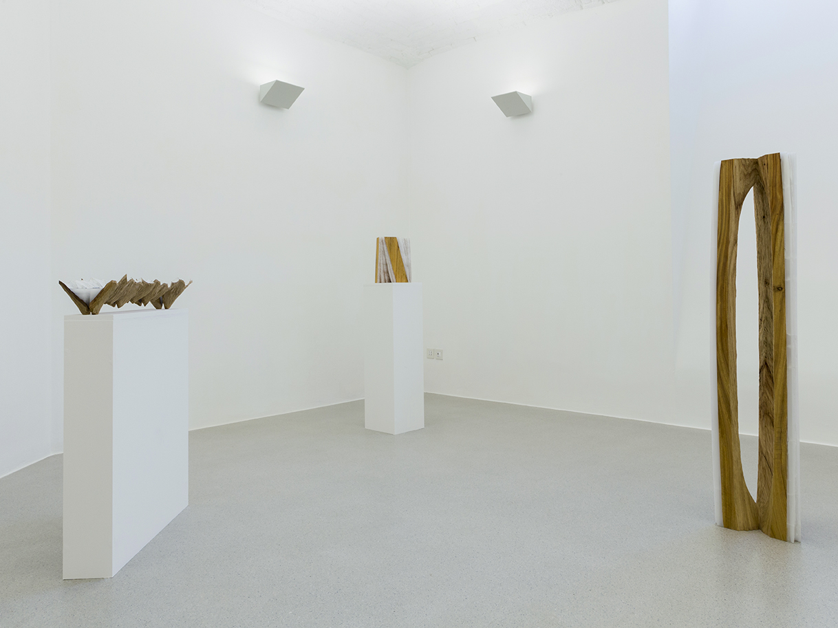 Due Mondi 11 Ottobre - 23 Dicembre 2016