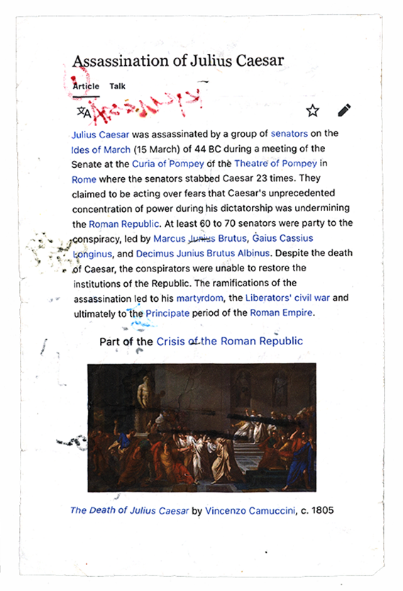 alleycat manifest by cecilia azcarate for El Toro - Back