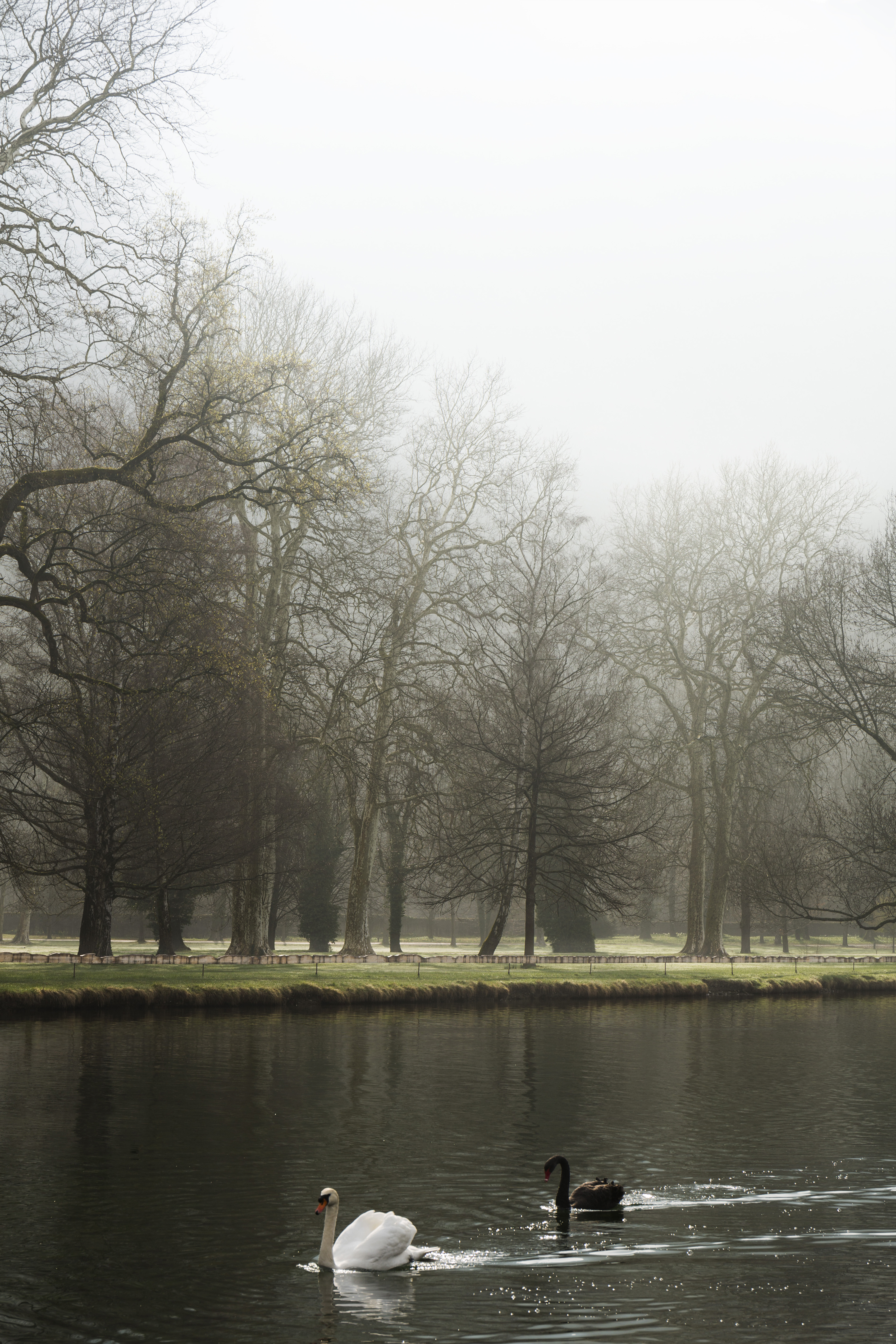 Filigrane, Vizille, collaboration Lis & Daneau Architectes et Maxime Lis