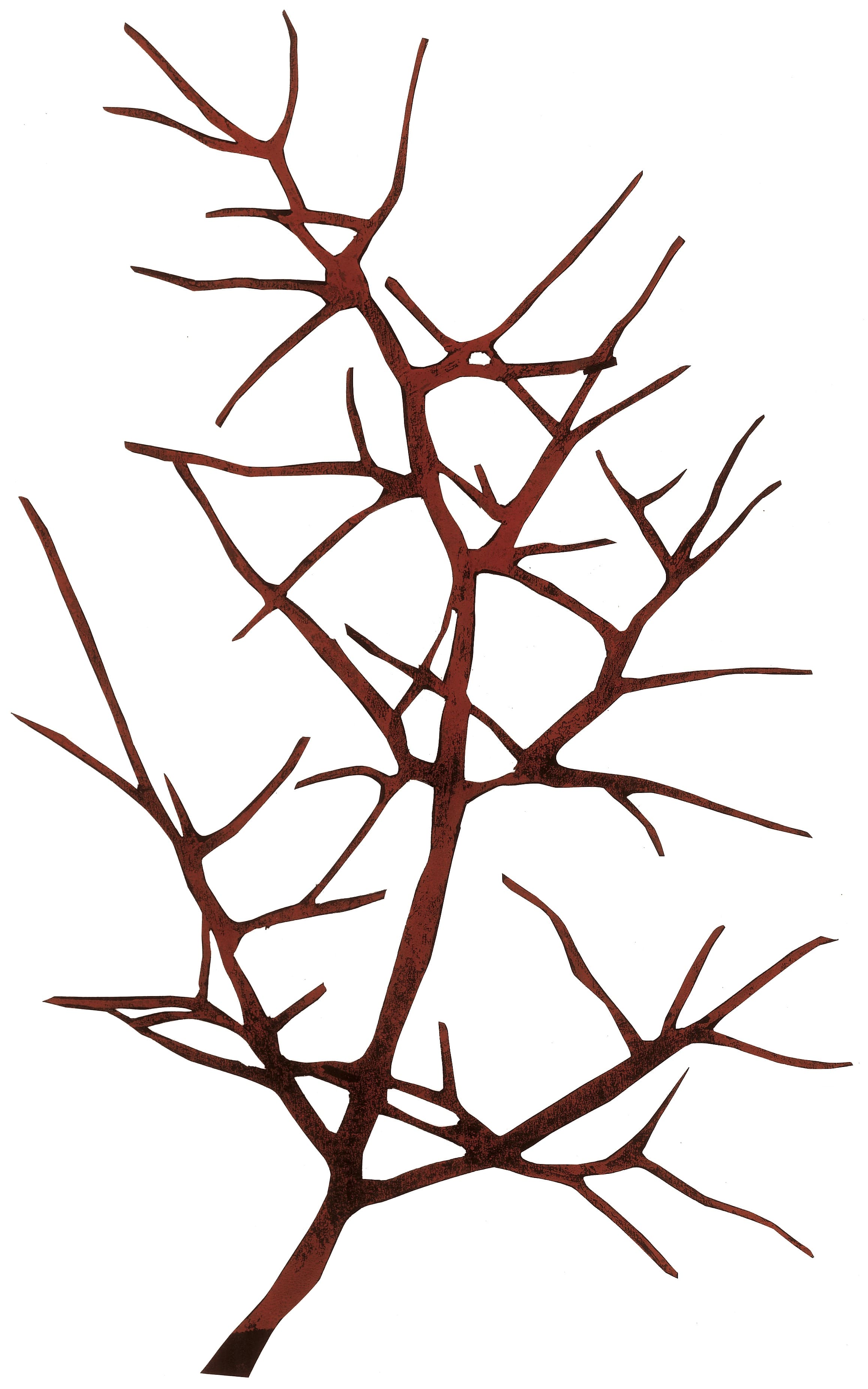 Thorn branchLinocut printed in red oil on black paperSerie: Haensel and Gretel/Text: The Brothers GrimmÉditions Être, Publisher: Paris Hinstorff, Rostock, 2007