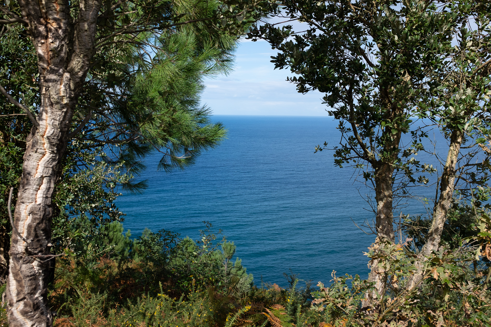 Outlook  San Sebastian 2019