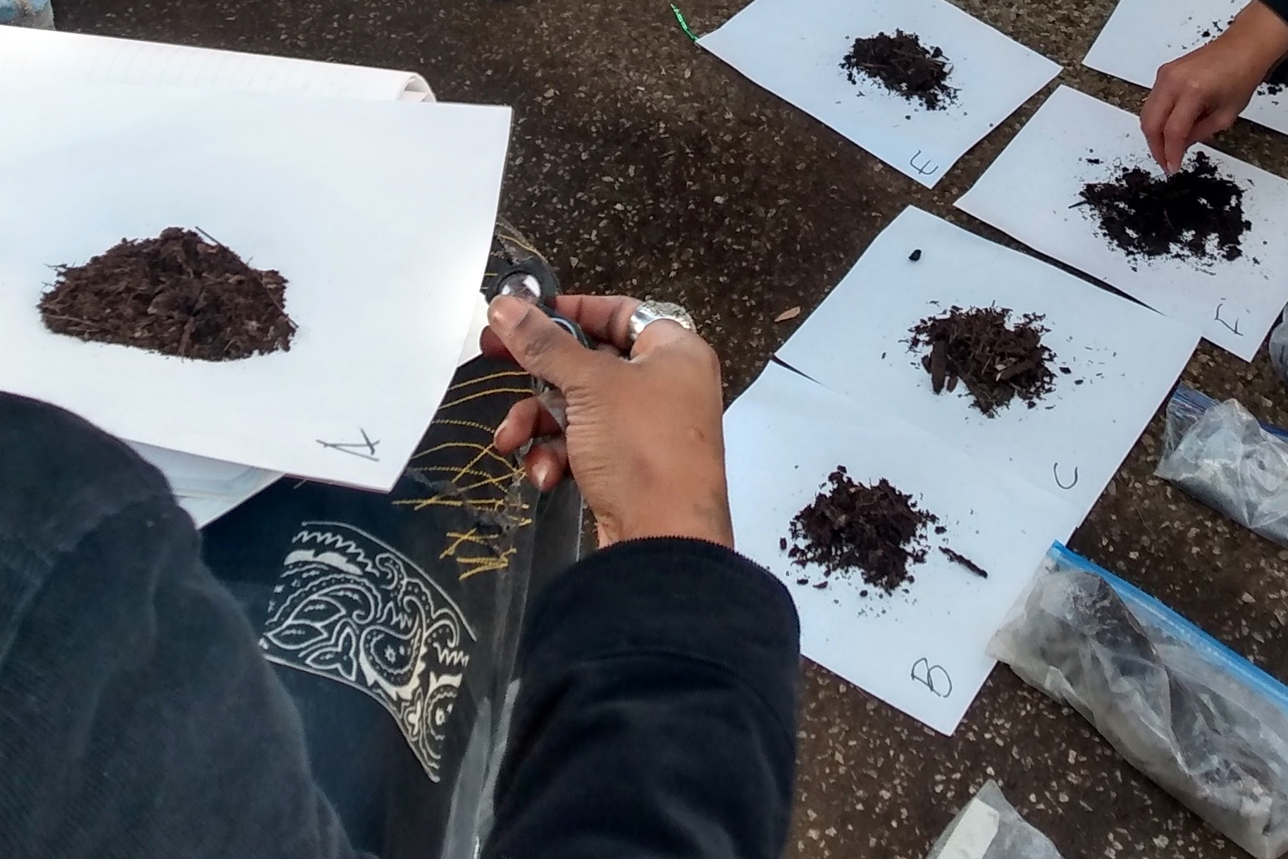 Communities & Organizations