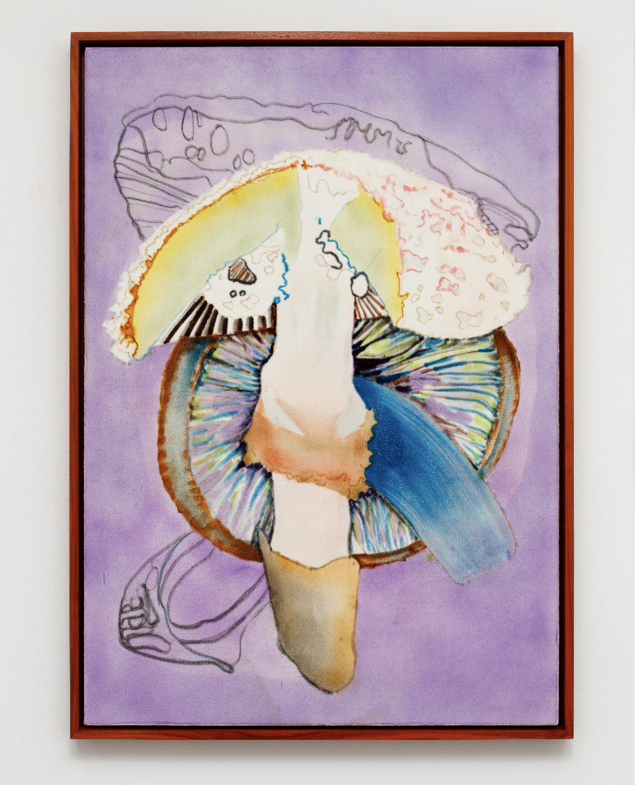 Travis Boyer, Garden Bones; Ode to Penelope Hobhouse, 2022, Dye on silk velvet on panel in artist frame, 40½ (H) x 28½ (W) in.