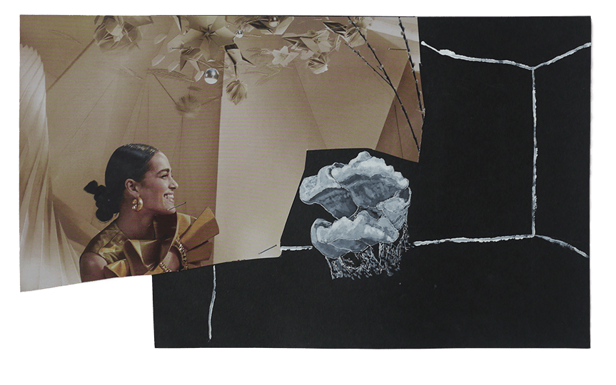 It turned out that we both had an obsession for photocopying memes. At the beginning I thought they liked me for my glossy cap but on our second date they confessed that they were more interested in my long mycelium. Now I can't think straight, do they only want me for my fruiting body?