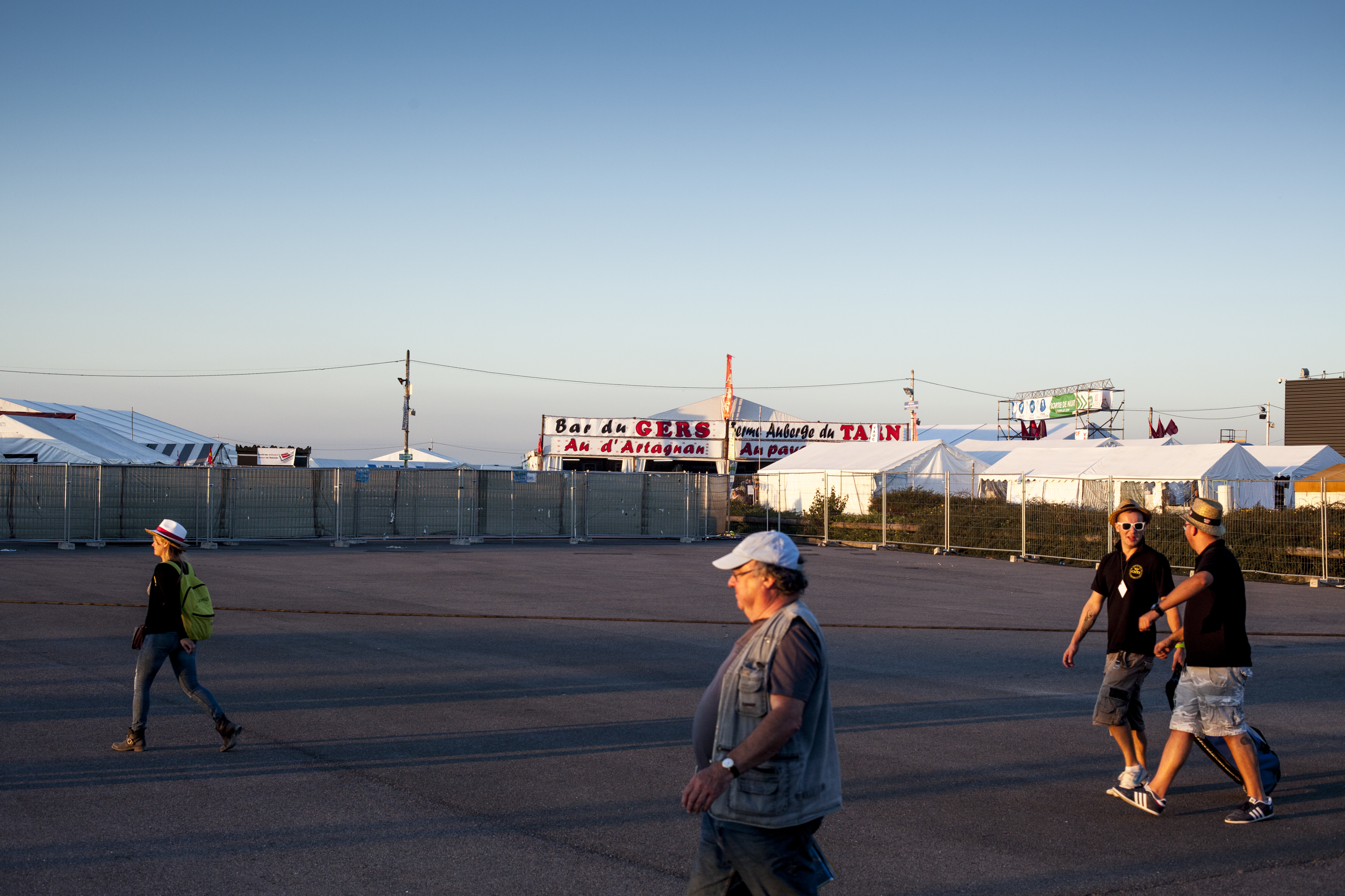 julien cregut-Lost Dogs-©juliencregut