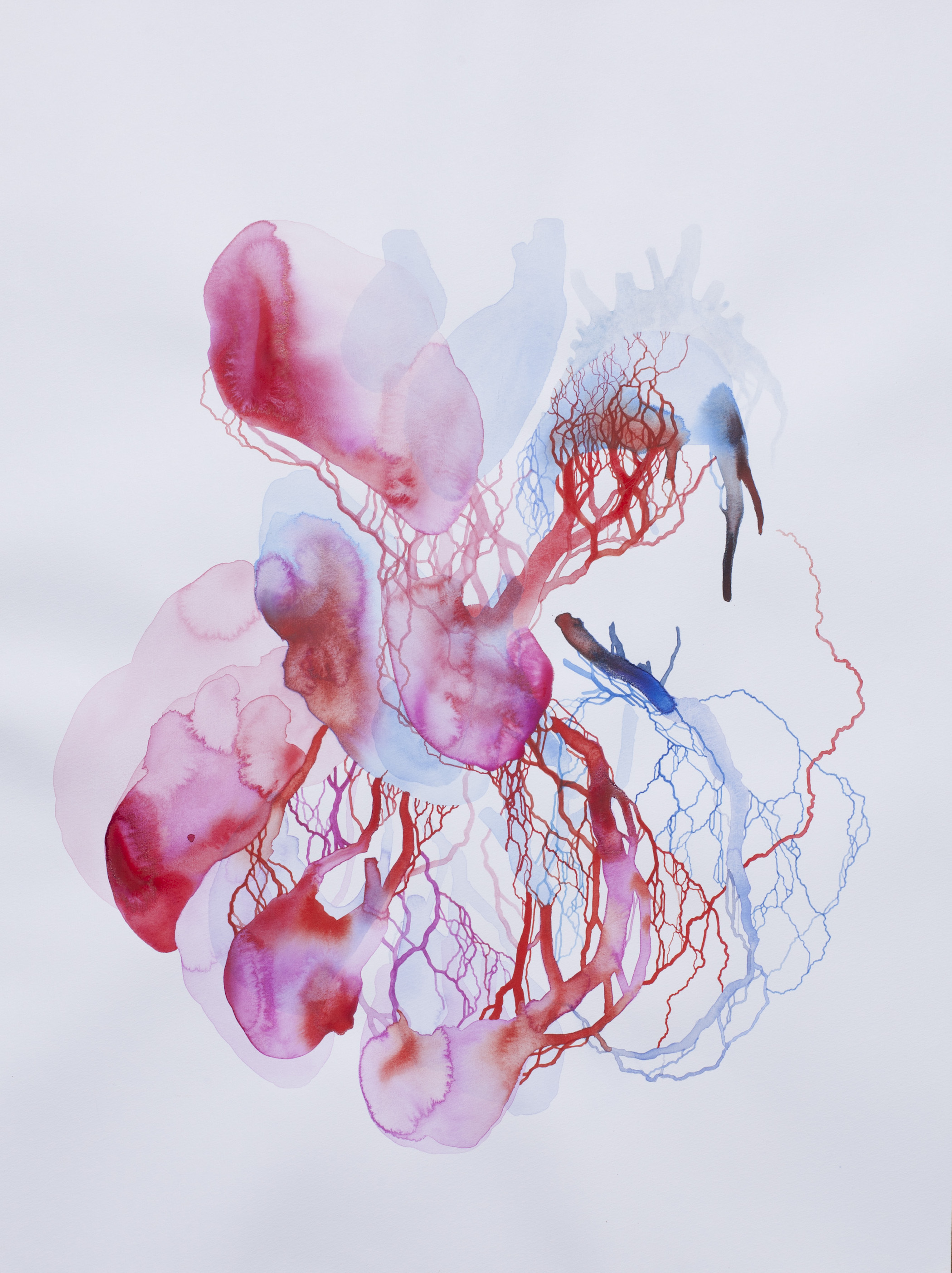 Entraille g (aquarelle, 59x80cm, février 2025)