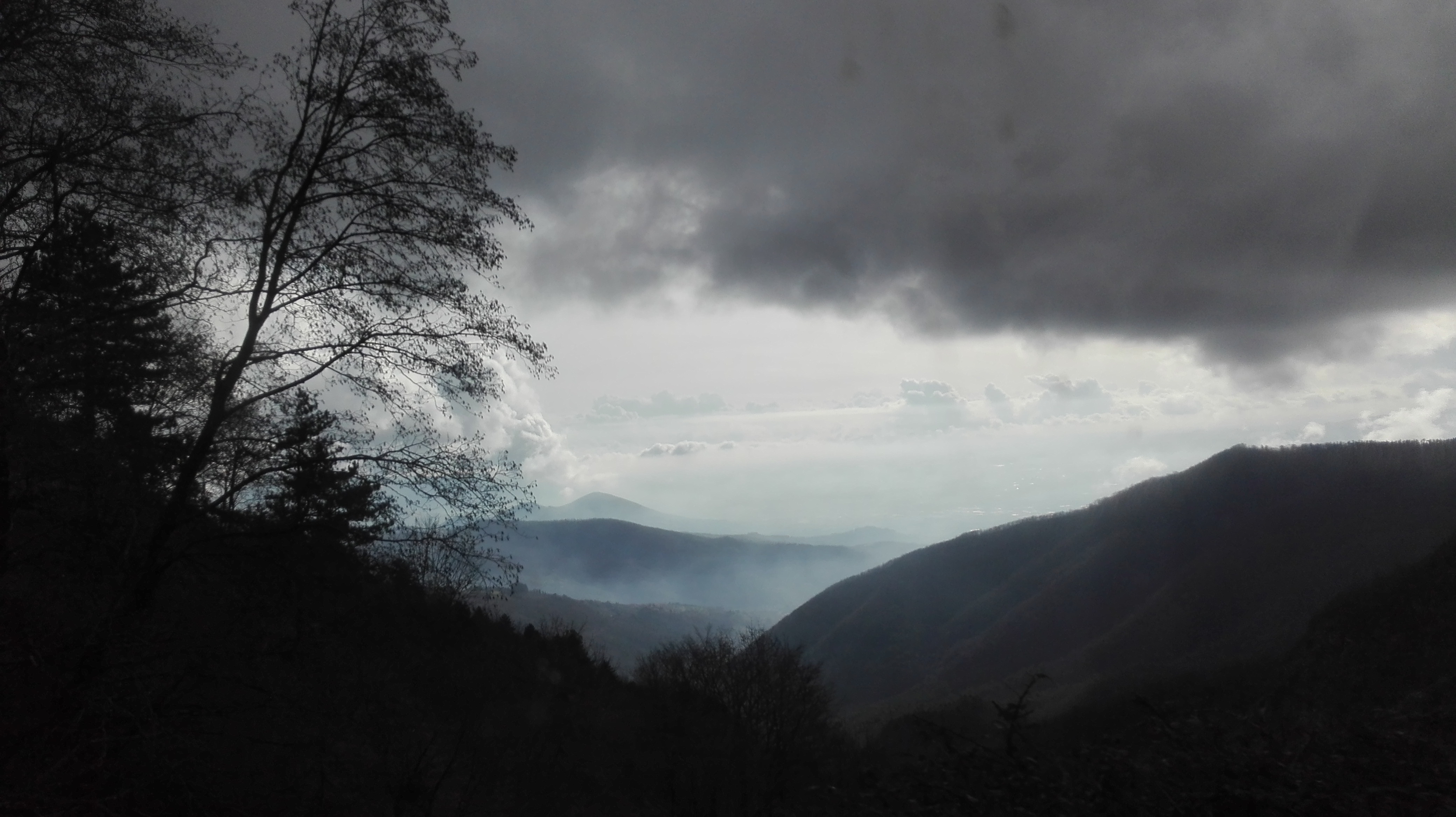 Solo - Il faggione delle Valli (Acquerino) 2020