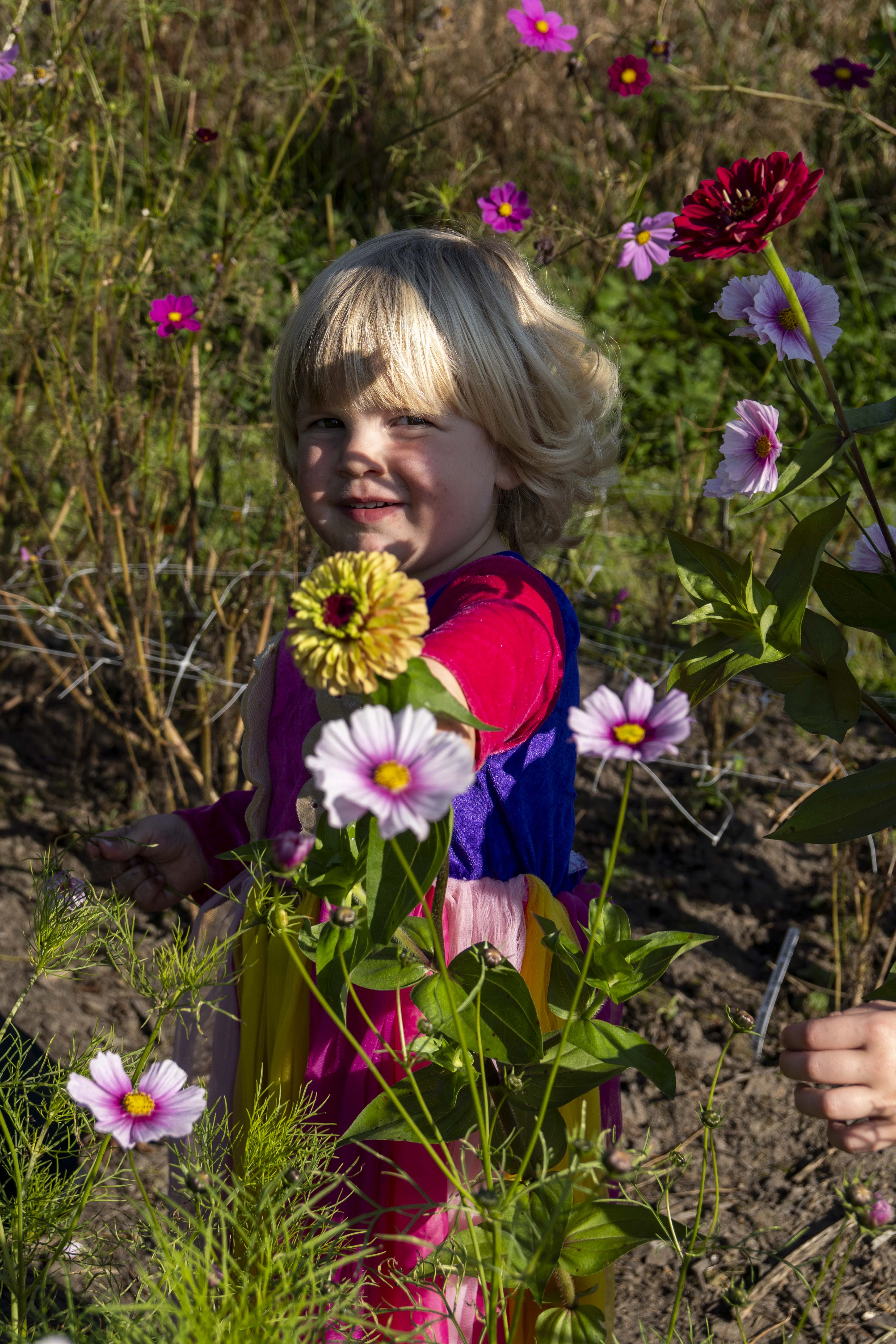 Open dag, Van De Pallande