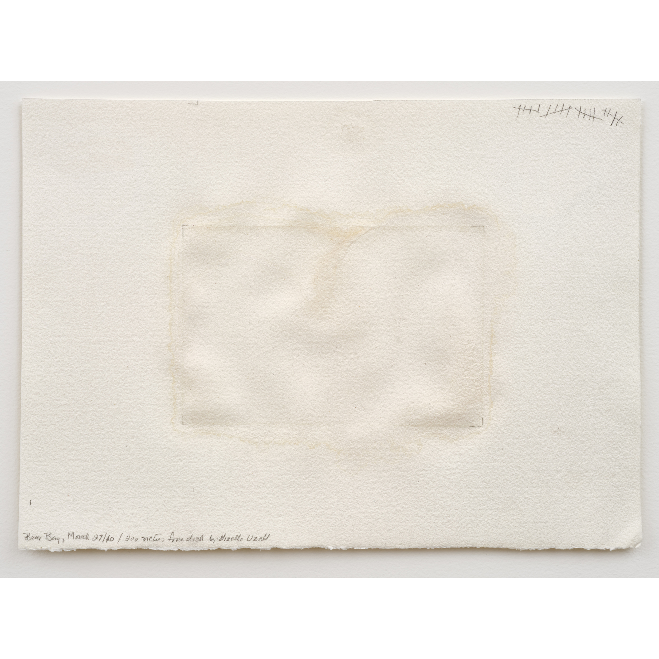 Judith Williams, Bear Bay, 2010. 25.5 x 35 cm / 10 x 13 3/4 in. Inlet salt/ fresh water on paper (20 layers). Collected March 27, 2010 by Gizelle Uzell. "200 metres from dock."