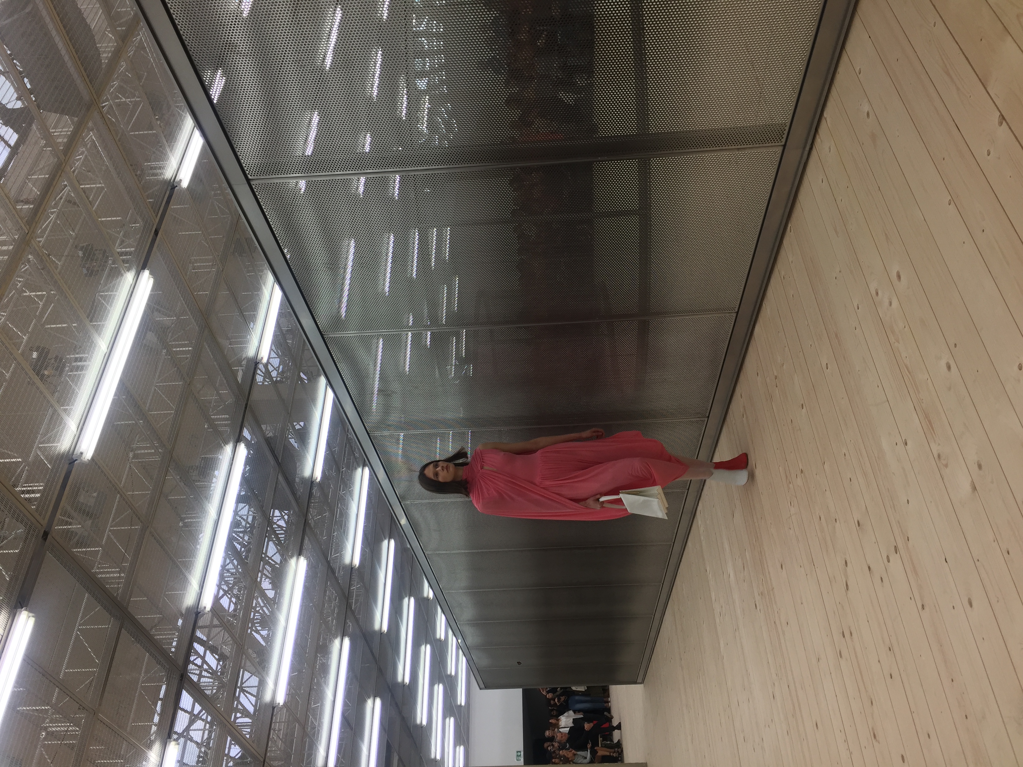 Dan Graham x Céline, SS2017, Paris (2016)