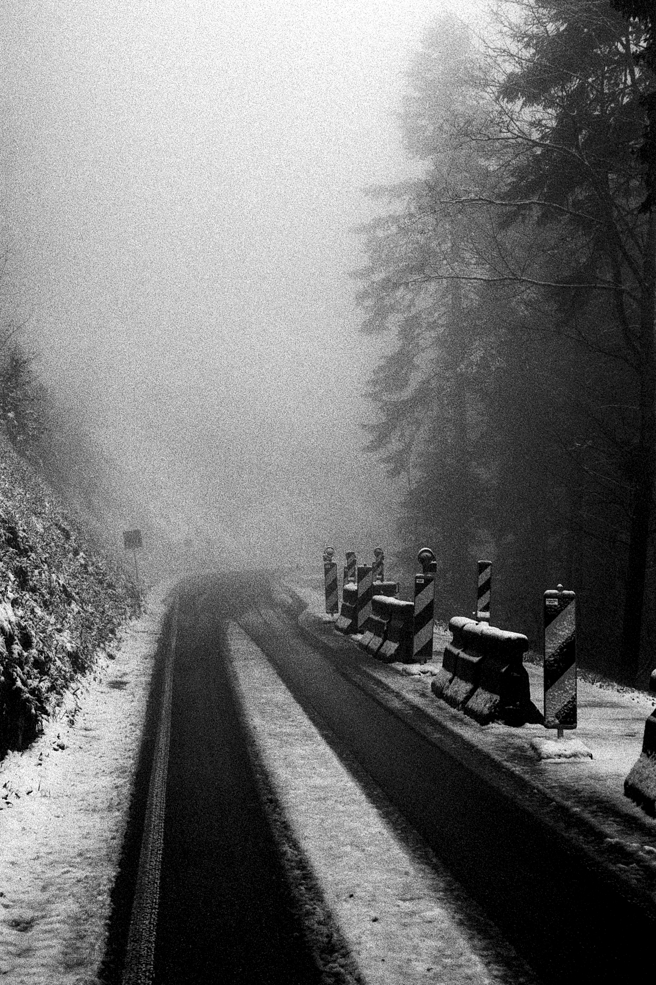 Black Forest, Germany, 2024