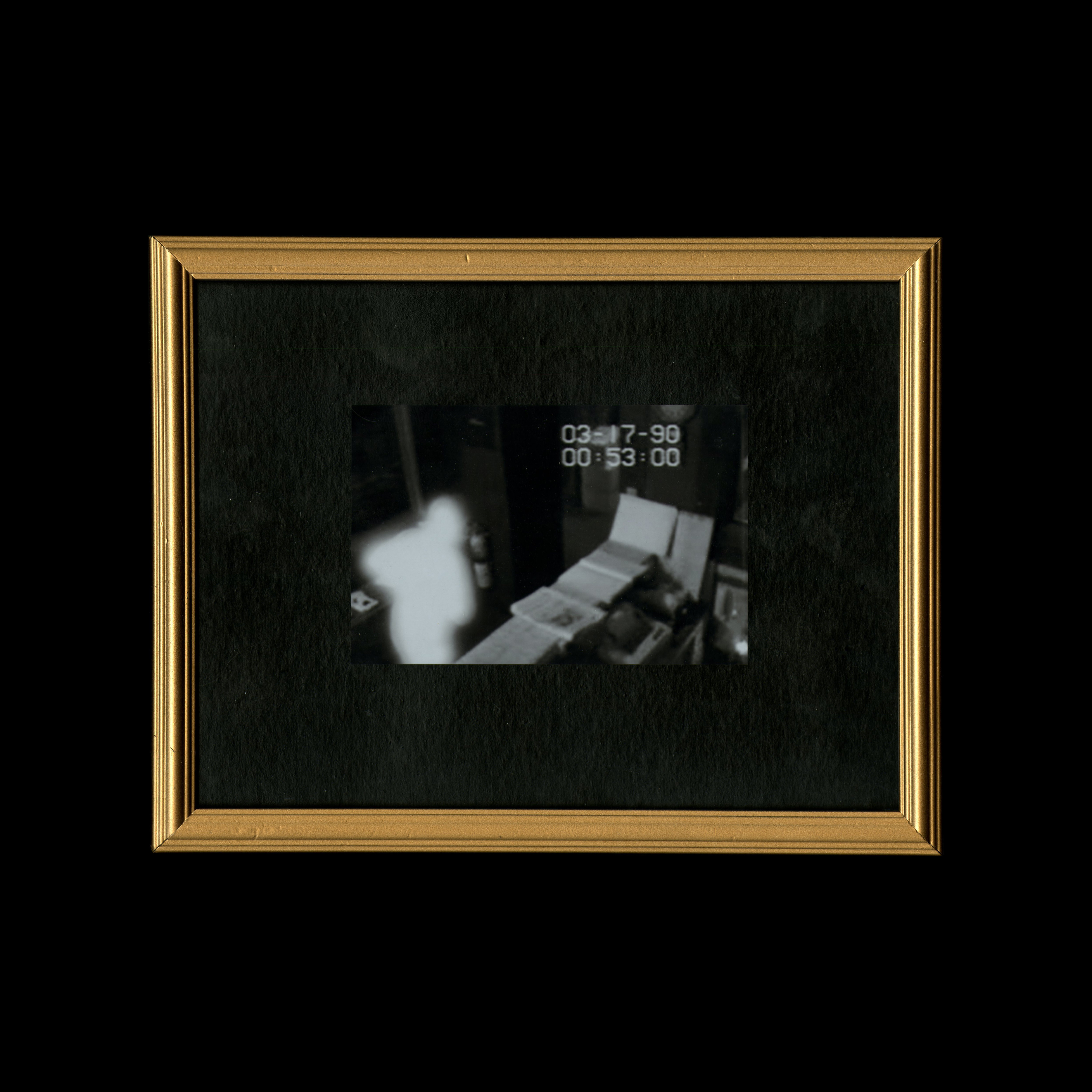 4. A Radiant Figure: The Only Image of Jane Doe Caught on Security CameraHere is the only known photo of Jane Doe. The image was captured by security cameras during her heist of the Gardner Museum. No one knows exactly how or why she glowed in the image, but the effect both preserved her anonymity and added to her curious mythology—rendering her a radiant figure hidden in plain sight. Forensic scientists speculate that she covered herself in some sort of hyper-reflective spray-applied coating calibrated to the optic sensitivities of the dated security cameras. framed print (only original copy) / photo paper