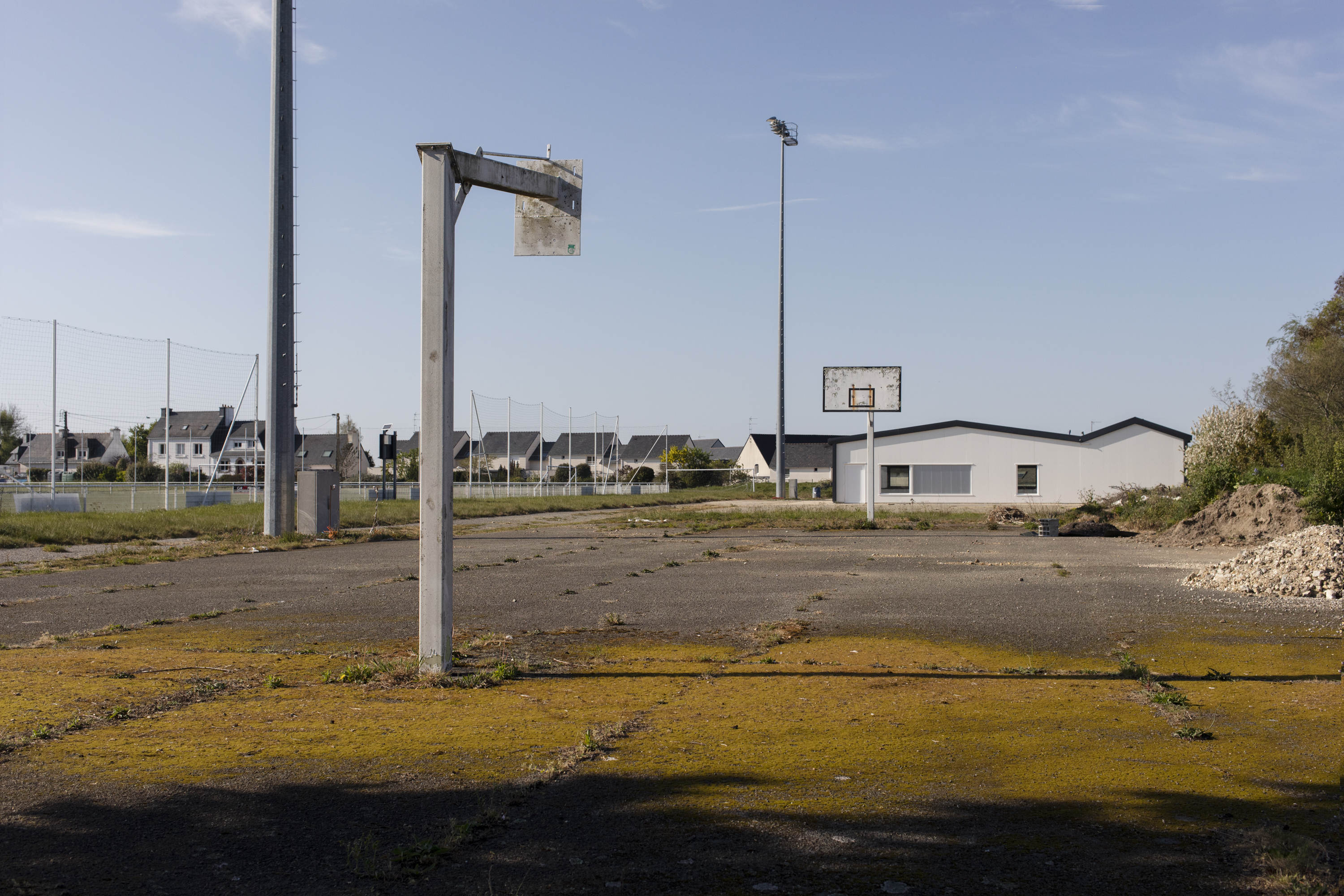 julien cregut-Lost Dogs-©juliencregut