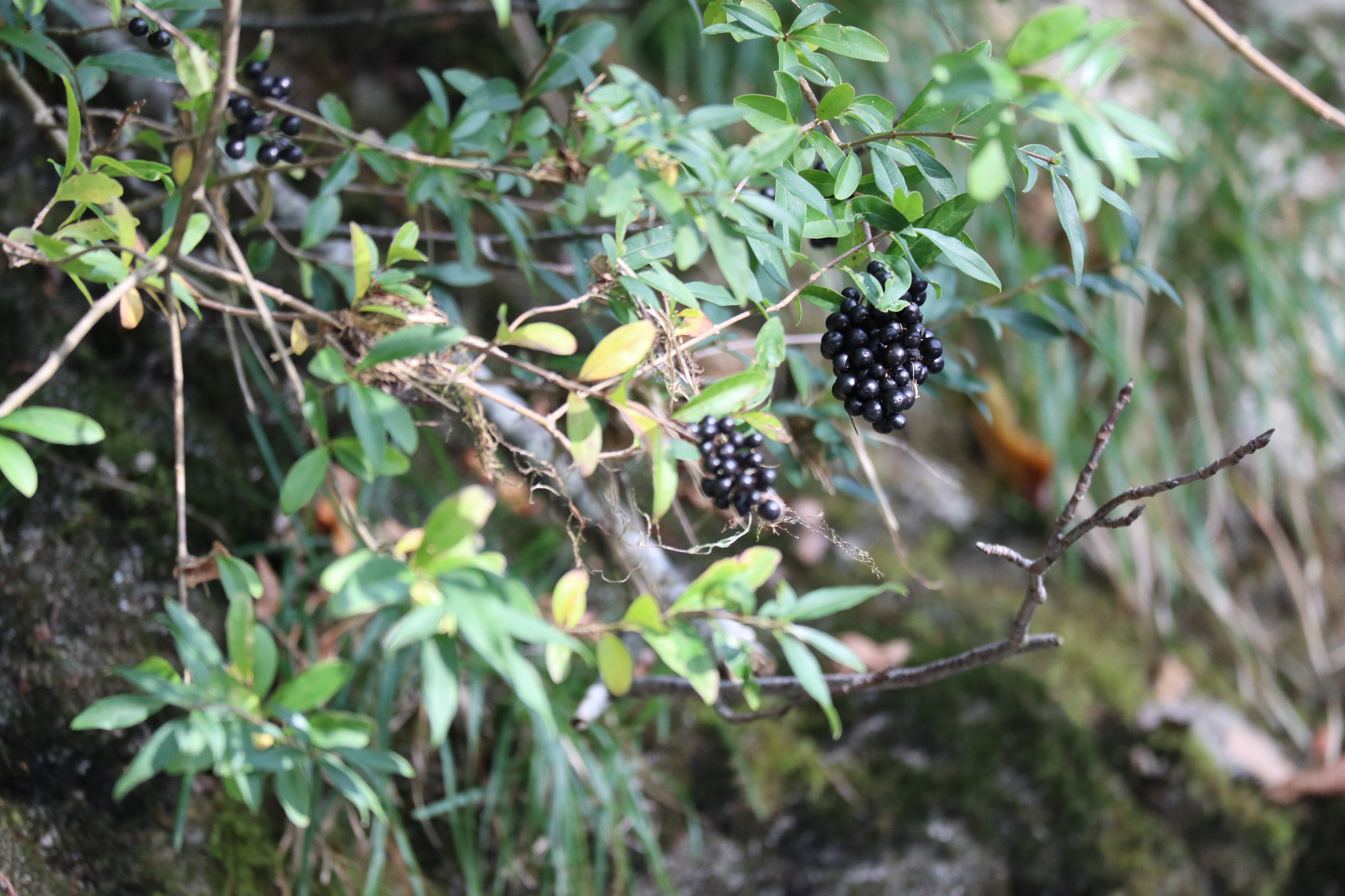 Die S&uuml;sse des Lebens