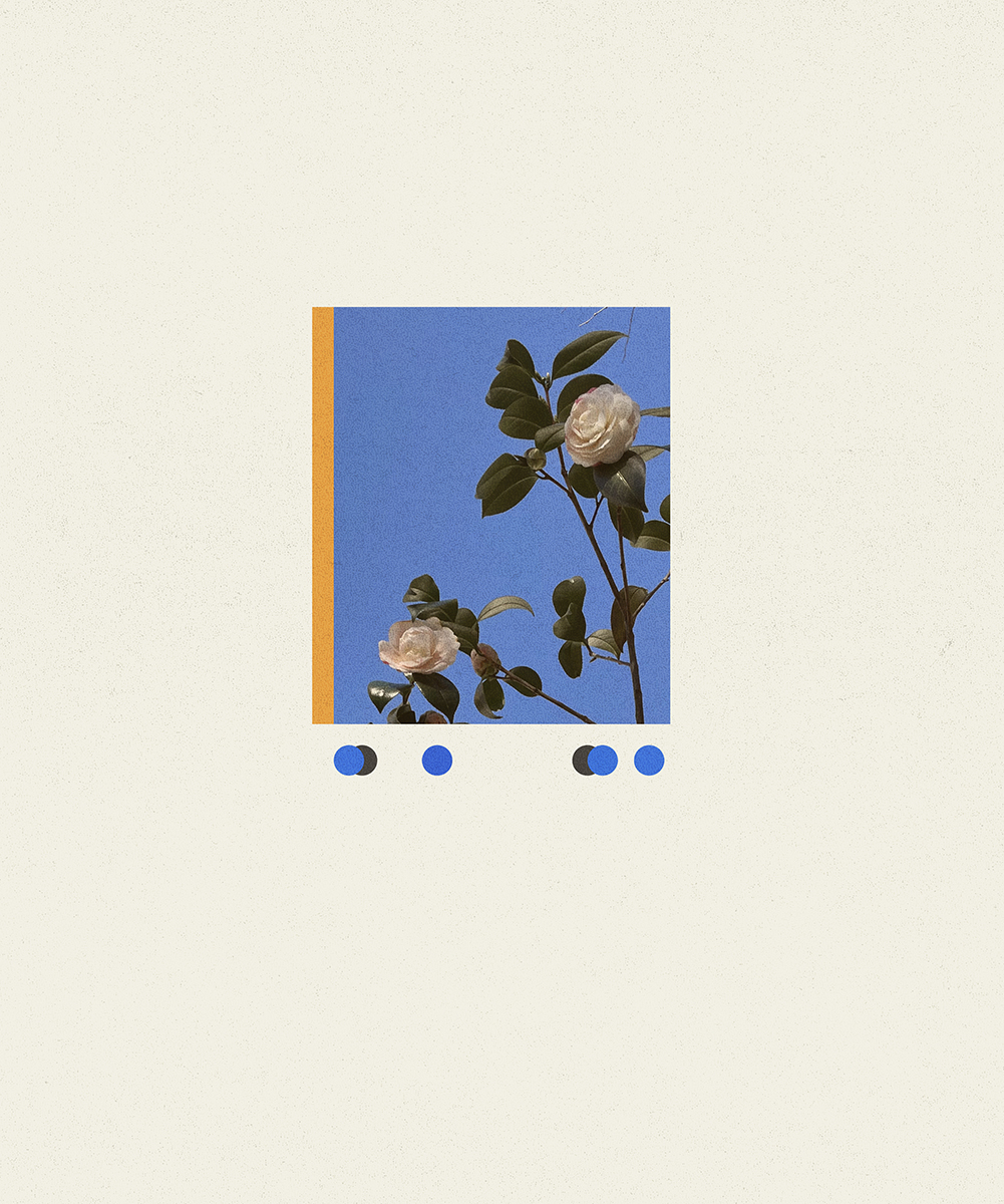 11. flower card 2 10.12.25