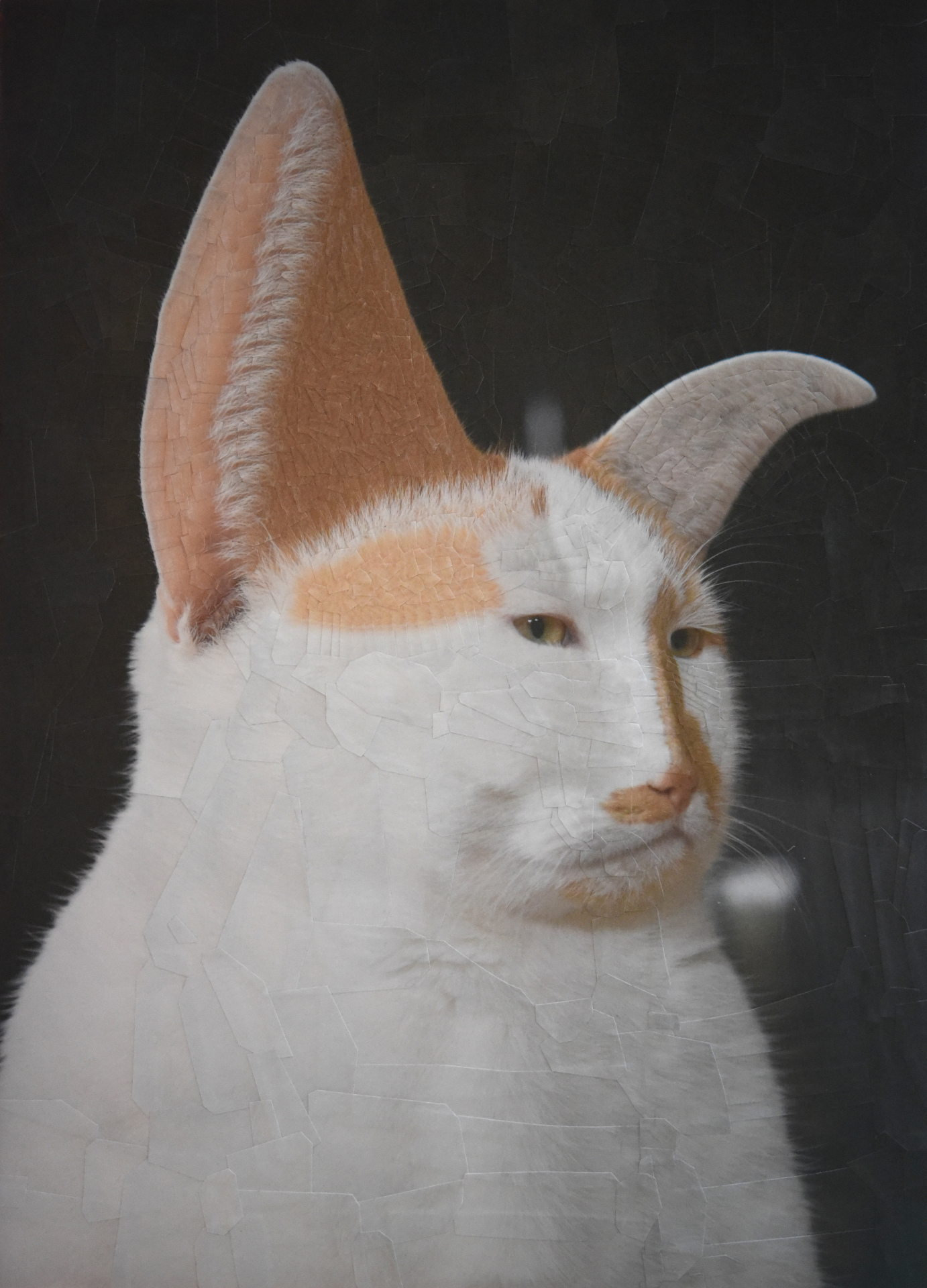 Charlie VII, softer, 2018, 9 x 12.5 inches