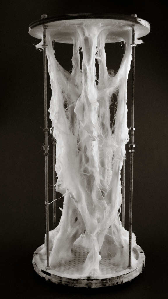 Gianluca Tabellini: Mycelium Tectonics