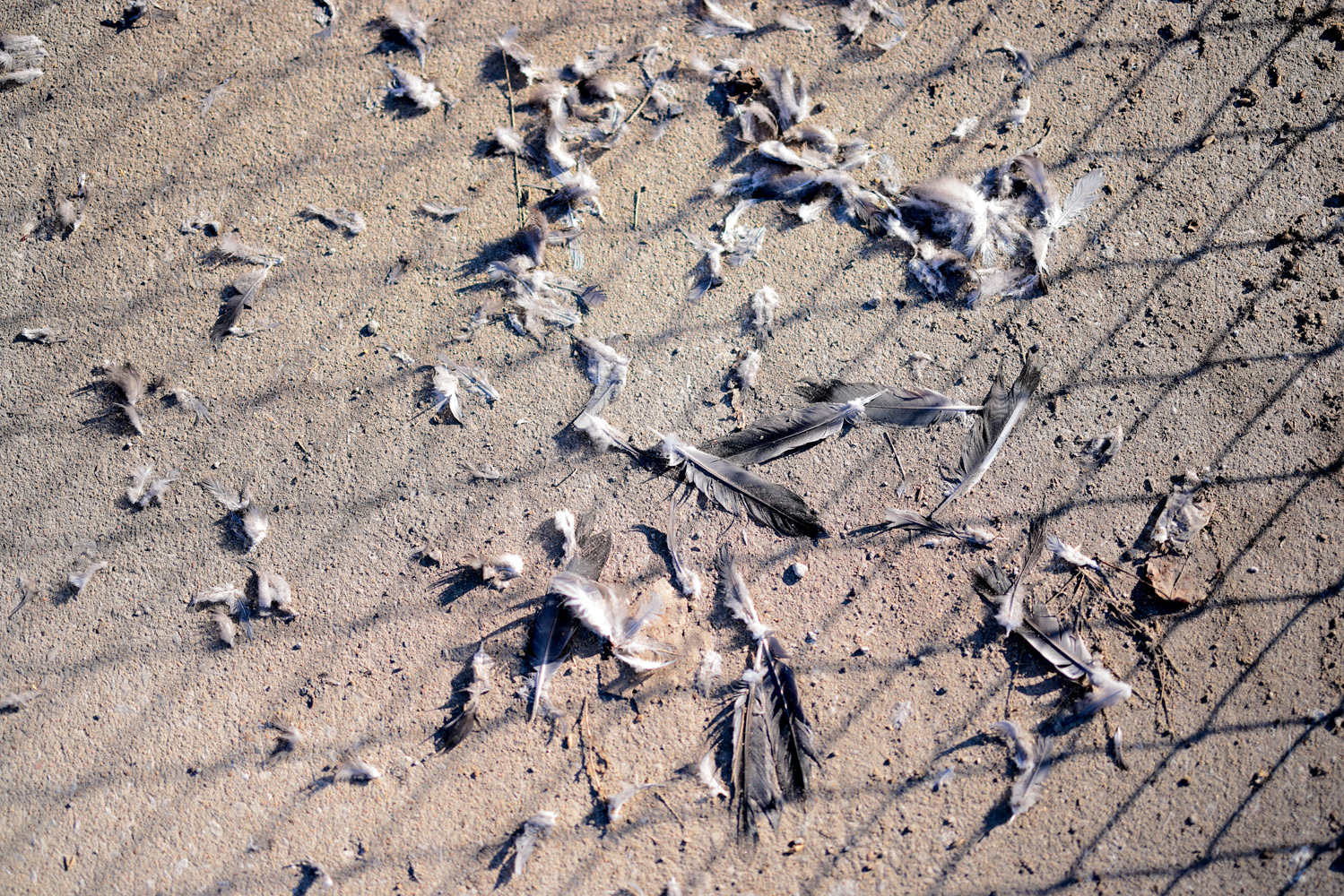 #578 (added March, 2025)