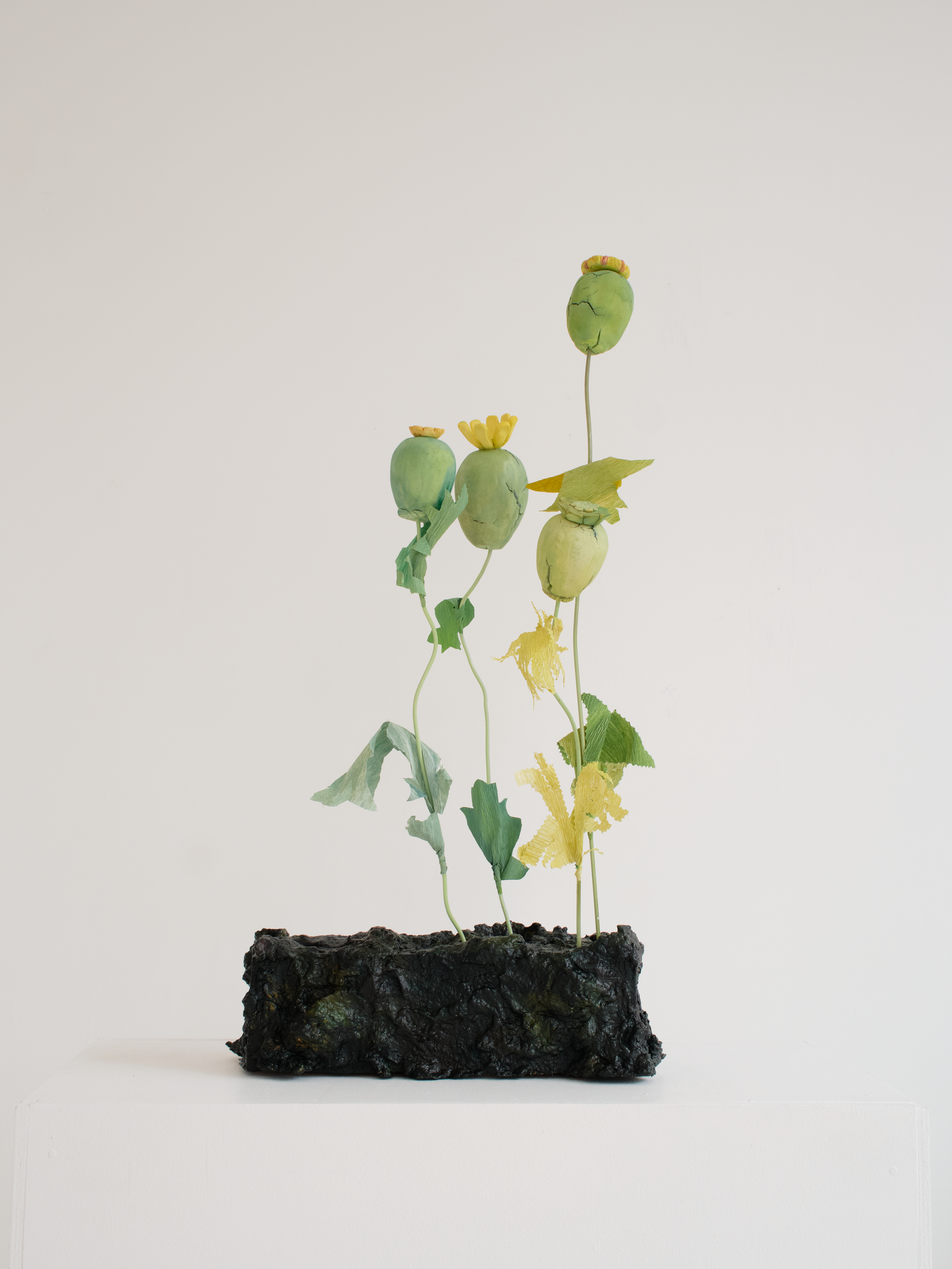 "Stand of Poppies - Quartet 1", dimensions variable, mixed media with wood and papier mache base, 2025. (SOLD)