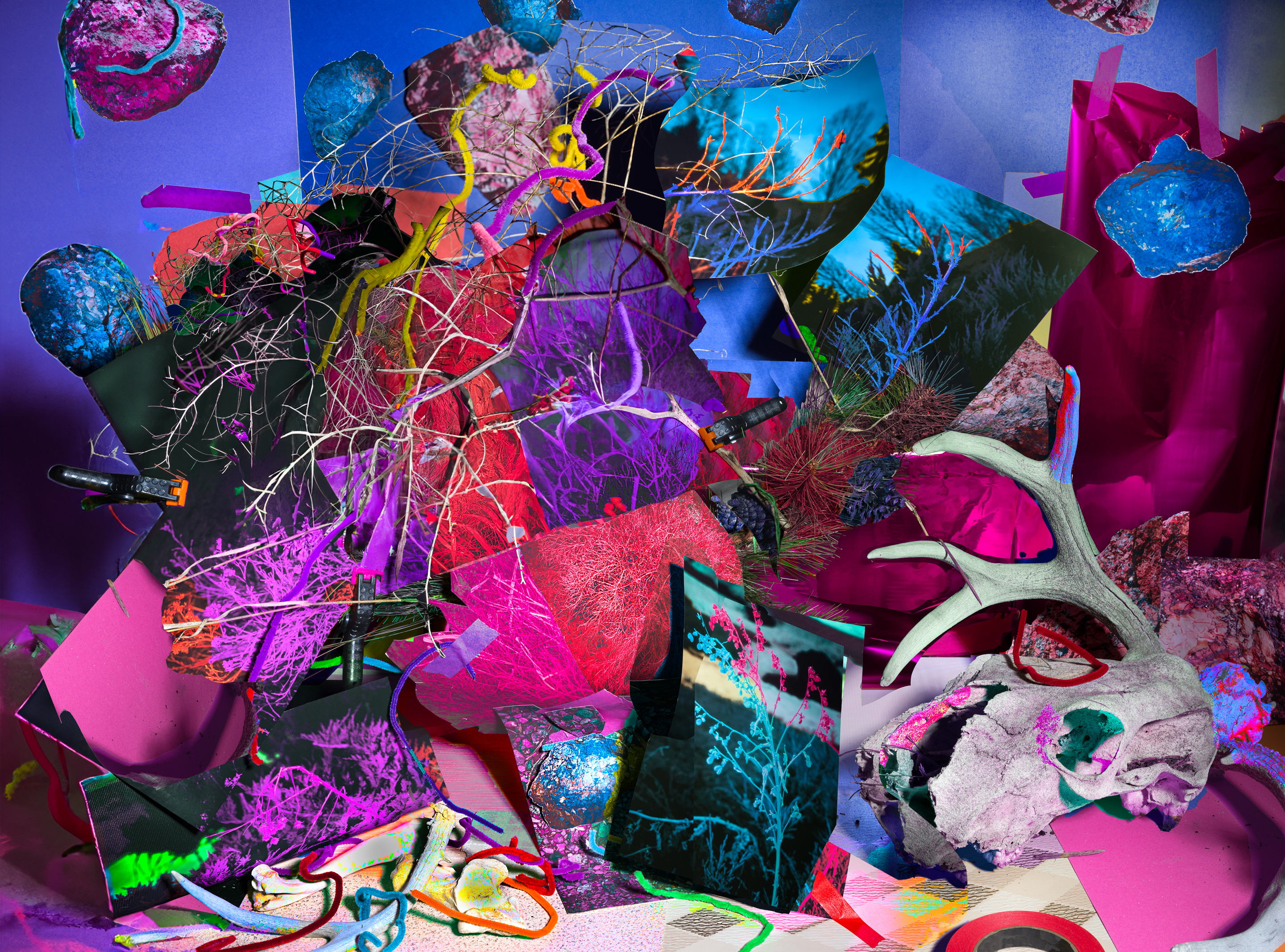 Deep Inside the Bushes with the Bones of the Dead, 2023, archival pigment print, 20” x 27”