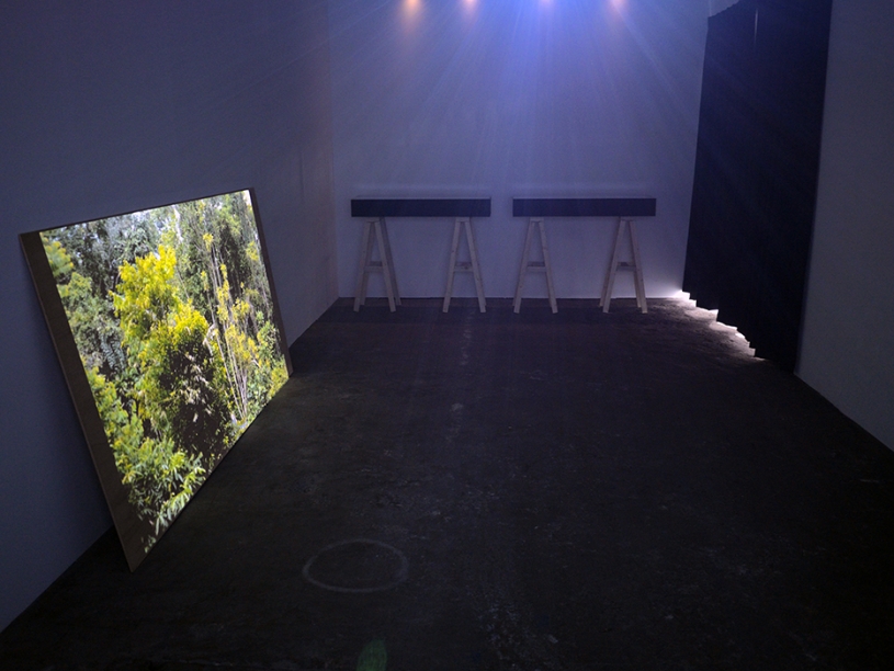 Installation view: Busan Biennale 2014