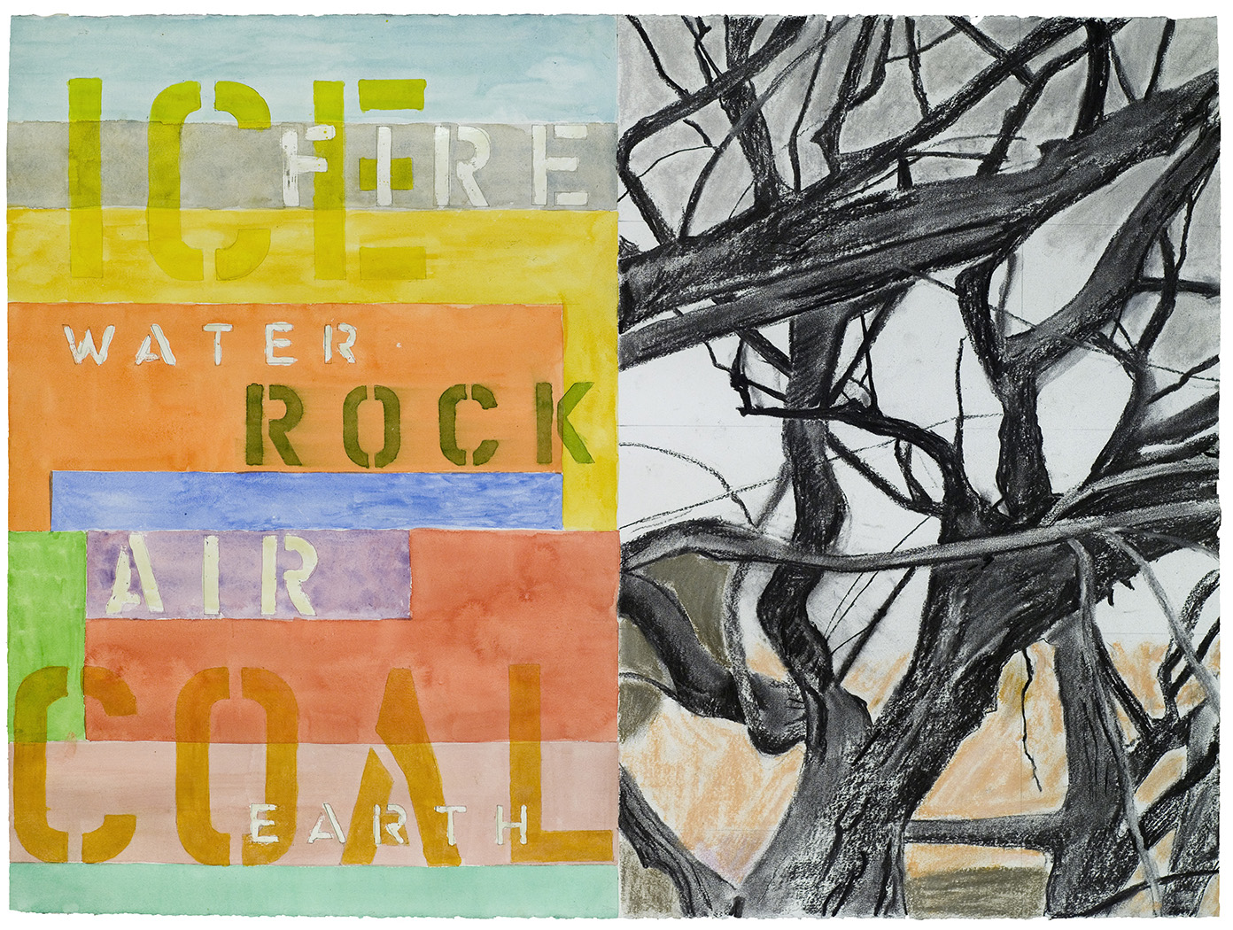 Basic Nature. 2009. pastel, charcoal, wtercolor & beeswax on paper. 22 1/2" X 30 1/4"