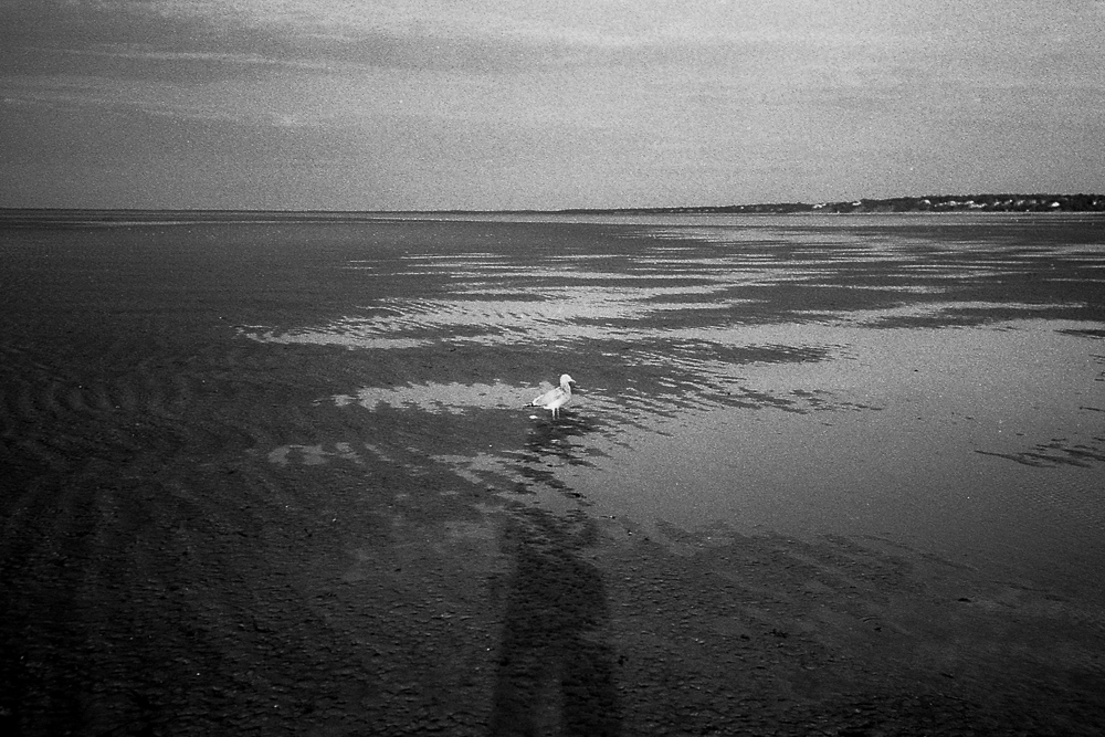 Flats in Brewster, 9/2020