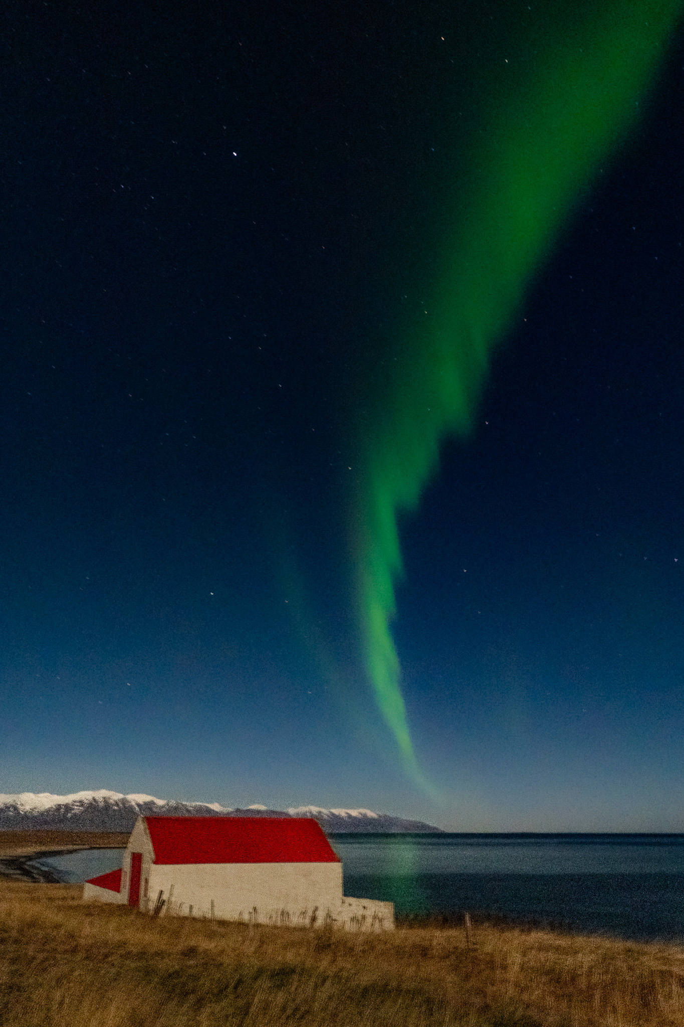 "Aurora and the Red Farm"