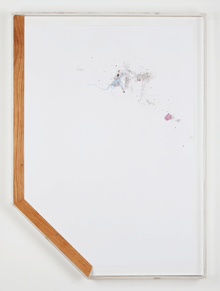 Dust to dust#39, coloured pencil on paper, 46x64, 2016