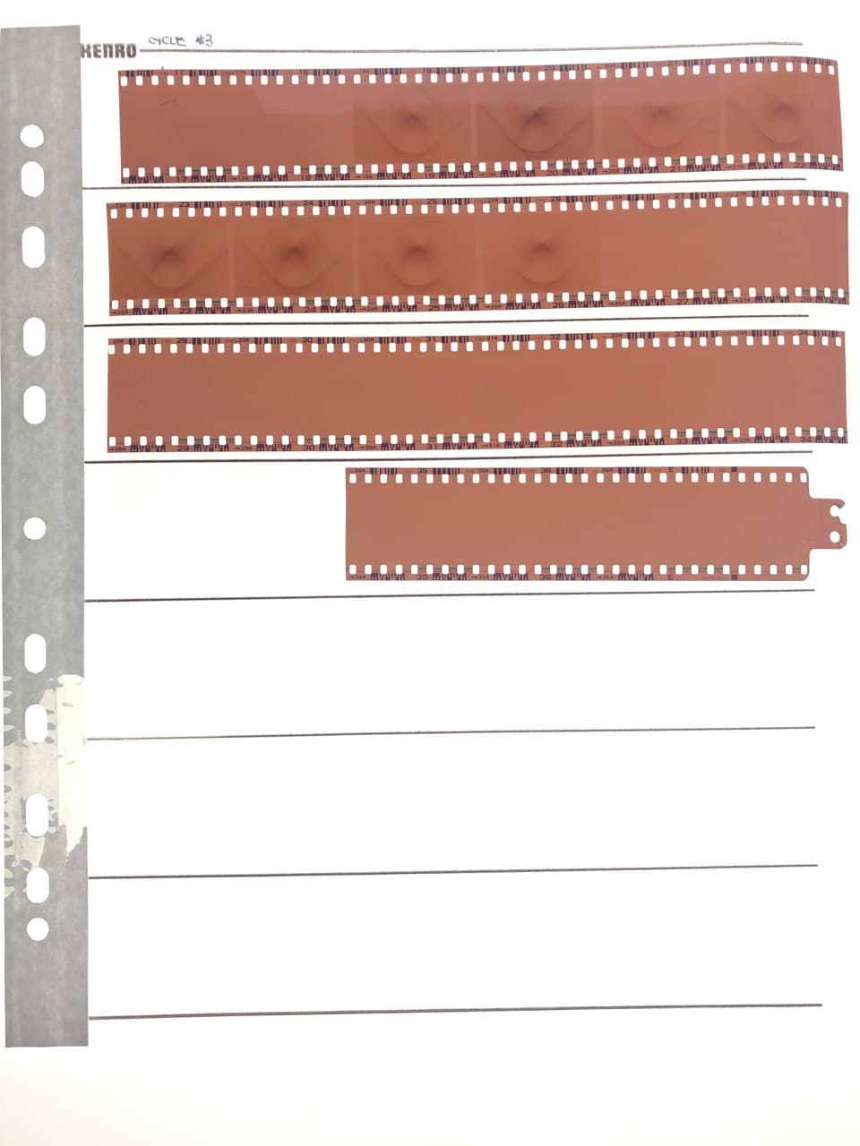 Visual Perception Test: Cycle #3 Contact Sheet
