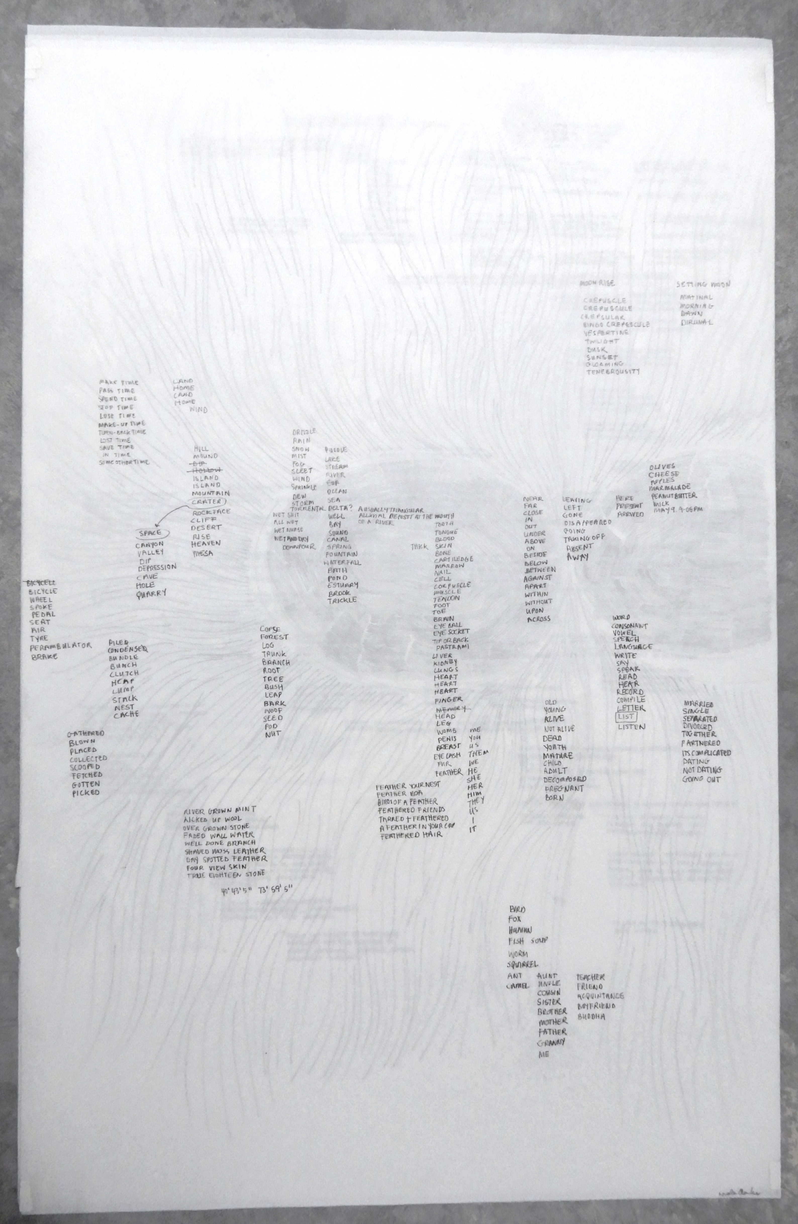 word map LIST - pencil on polypropolene, 35x24" 2012 