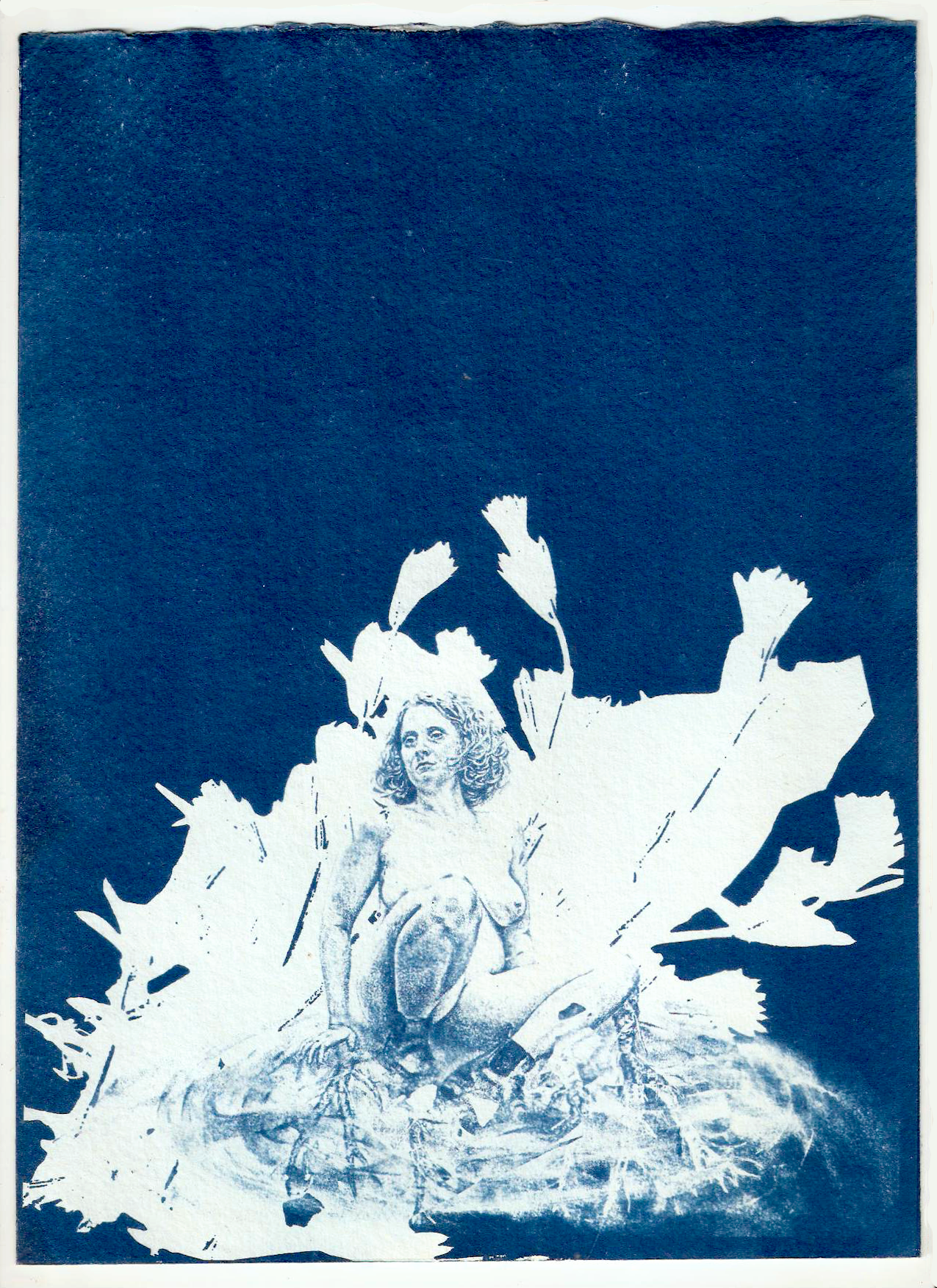  &lsquo;Roots&rsquo;,   cyanotype on recycled cotton rag paper, 320 gsm, 21 x 28 cm