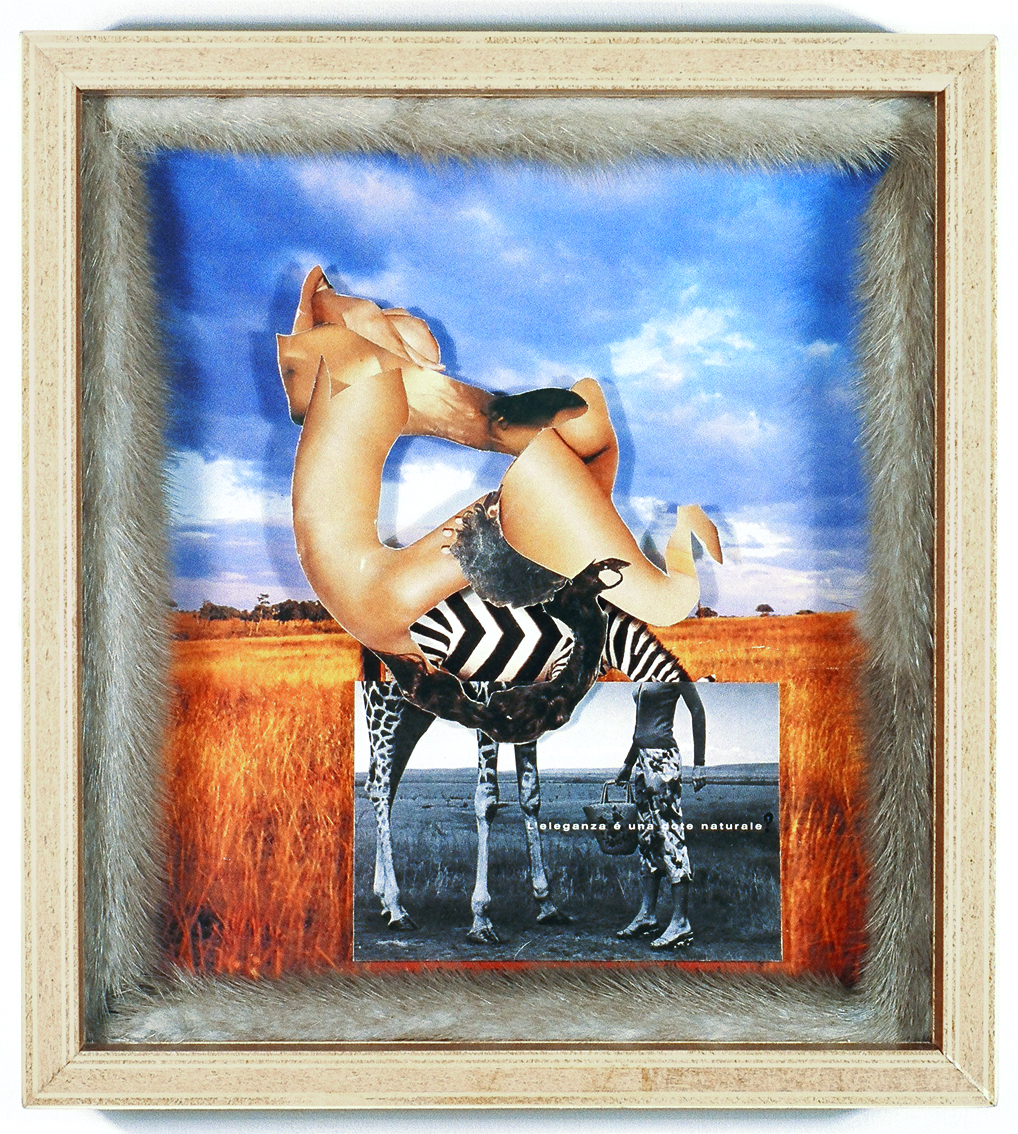 L’Eleganza è una dota naturale, 2004. 28 x 25 cm. Dans la série des Abstractions Indirectes.