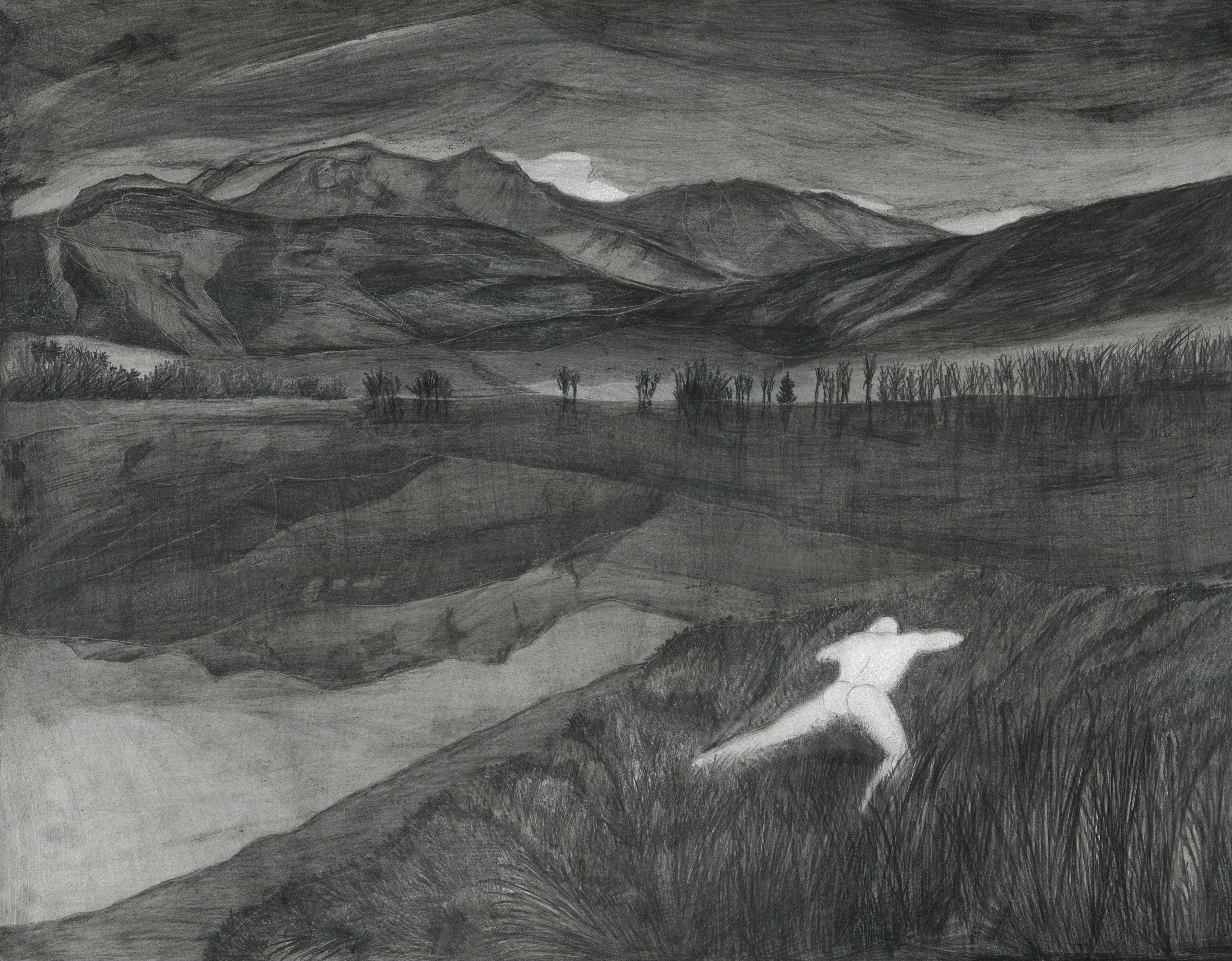 Tom de Pekin Haute-Savoie, 2024 Graphite 50 x 65 cm Courtesy de l'artiste et de la Galerie 22,48m2