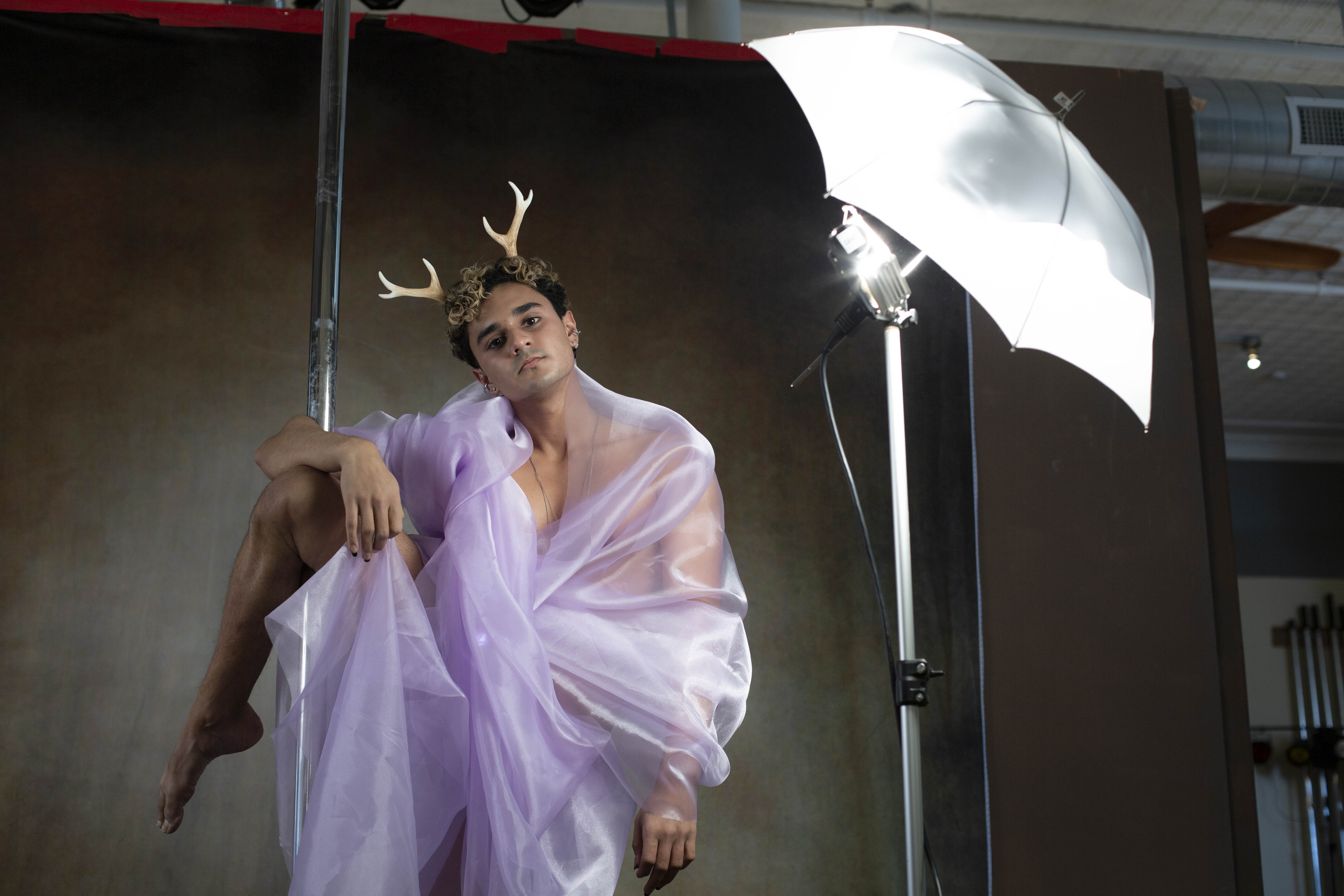 risd/brown poler bears