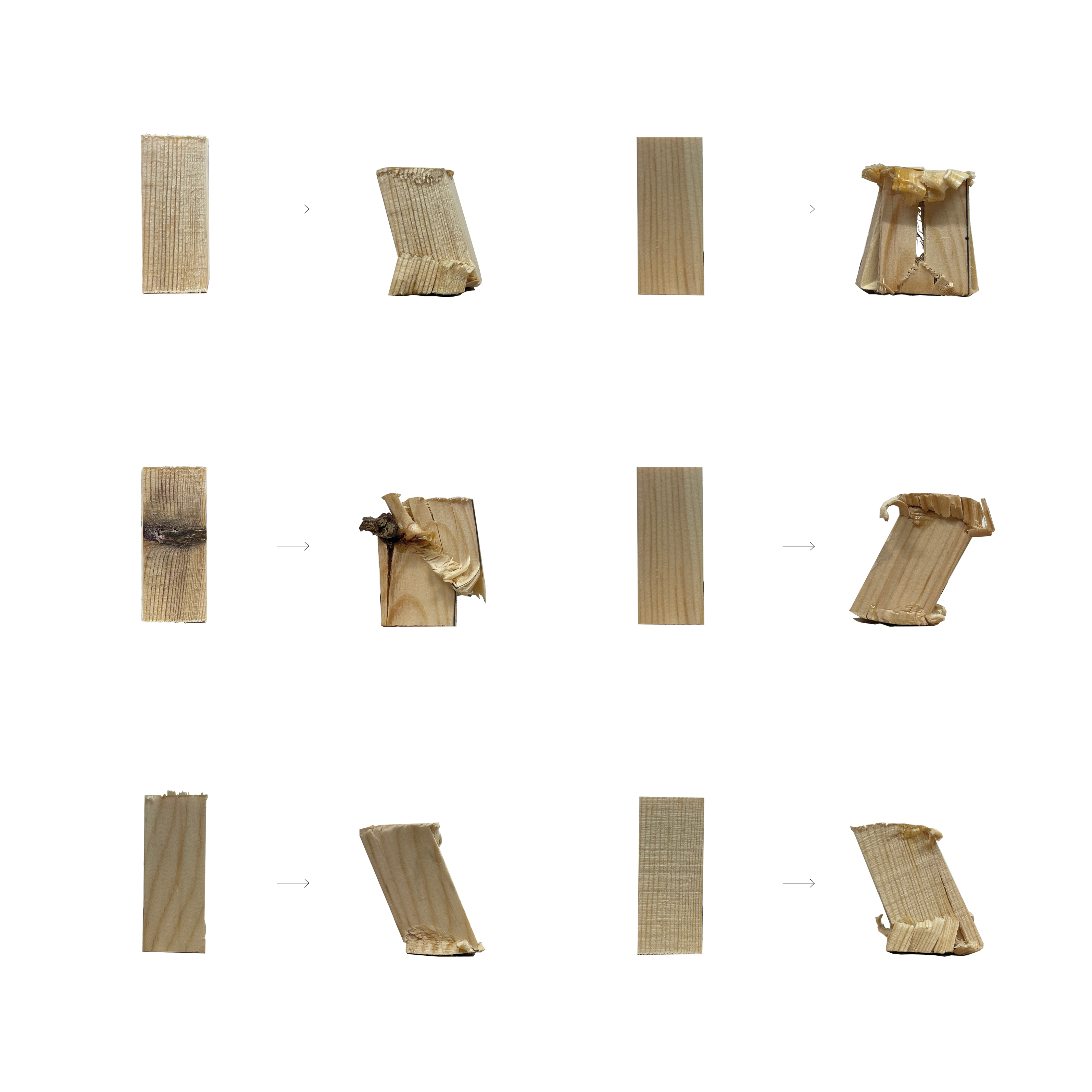 The Compression and Tension 