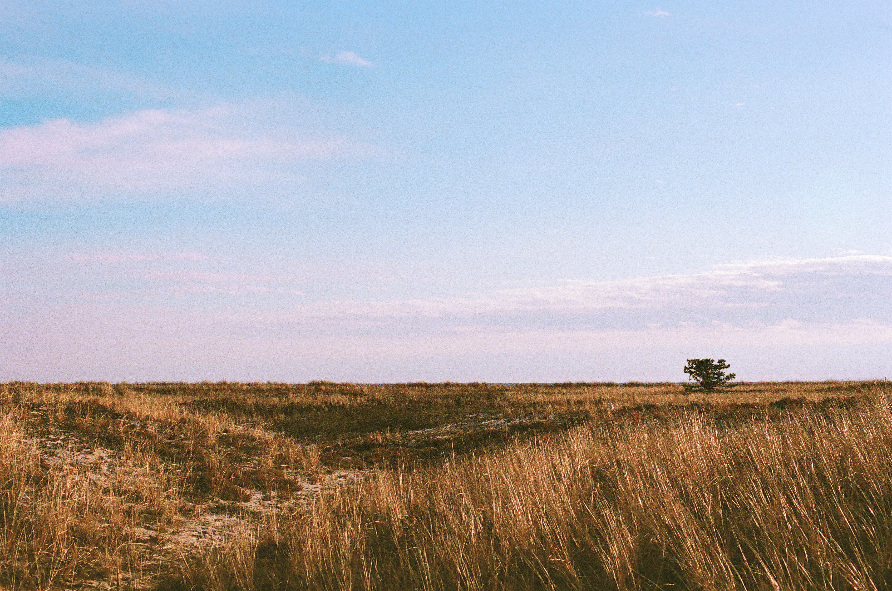 West Dennis Beach, Dennis, MA - December, 2021