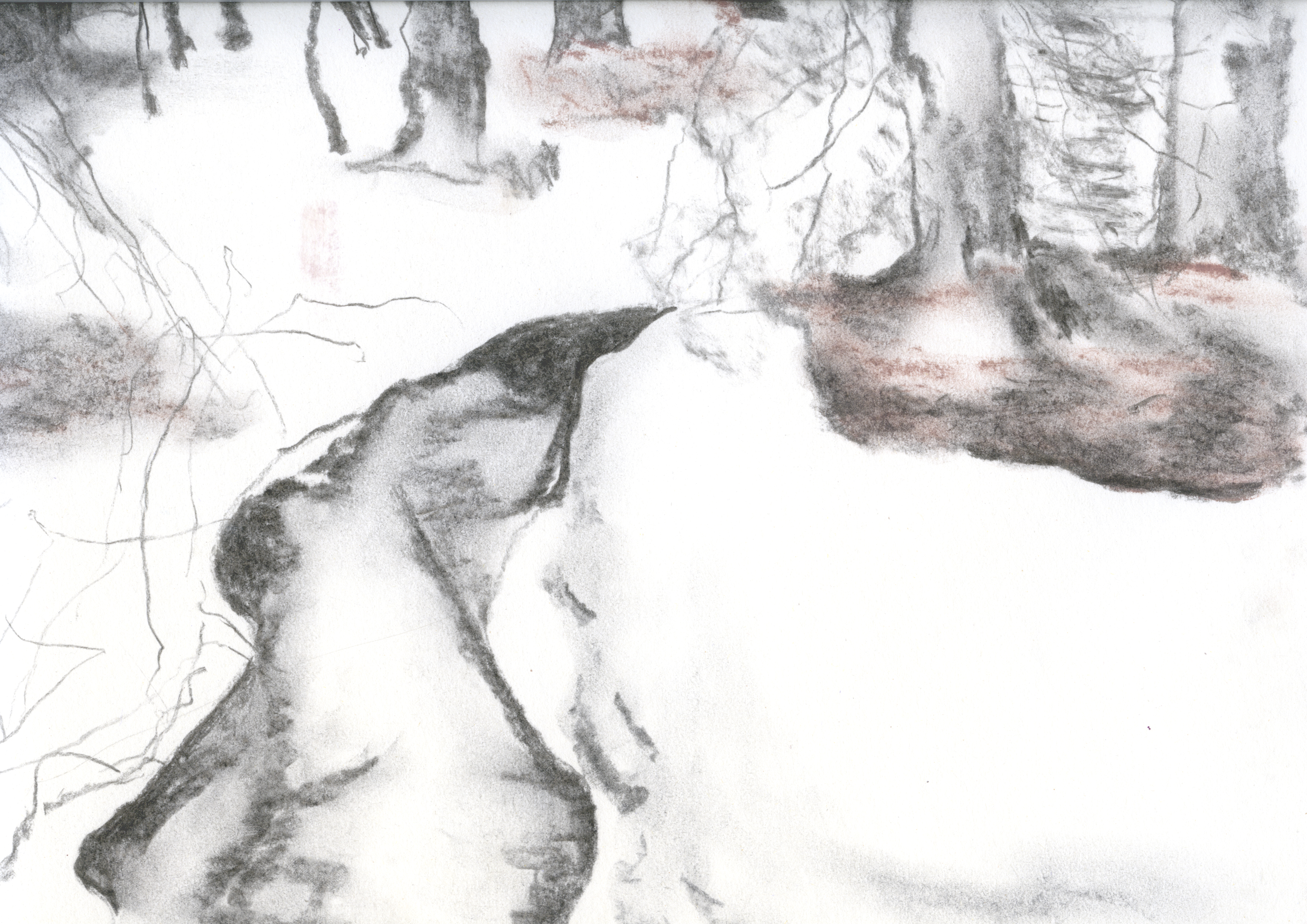 Charcoal on paper, 298 x 420 mm, 2020