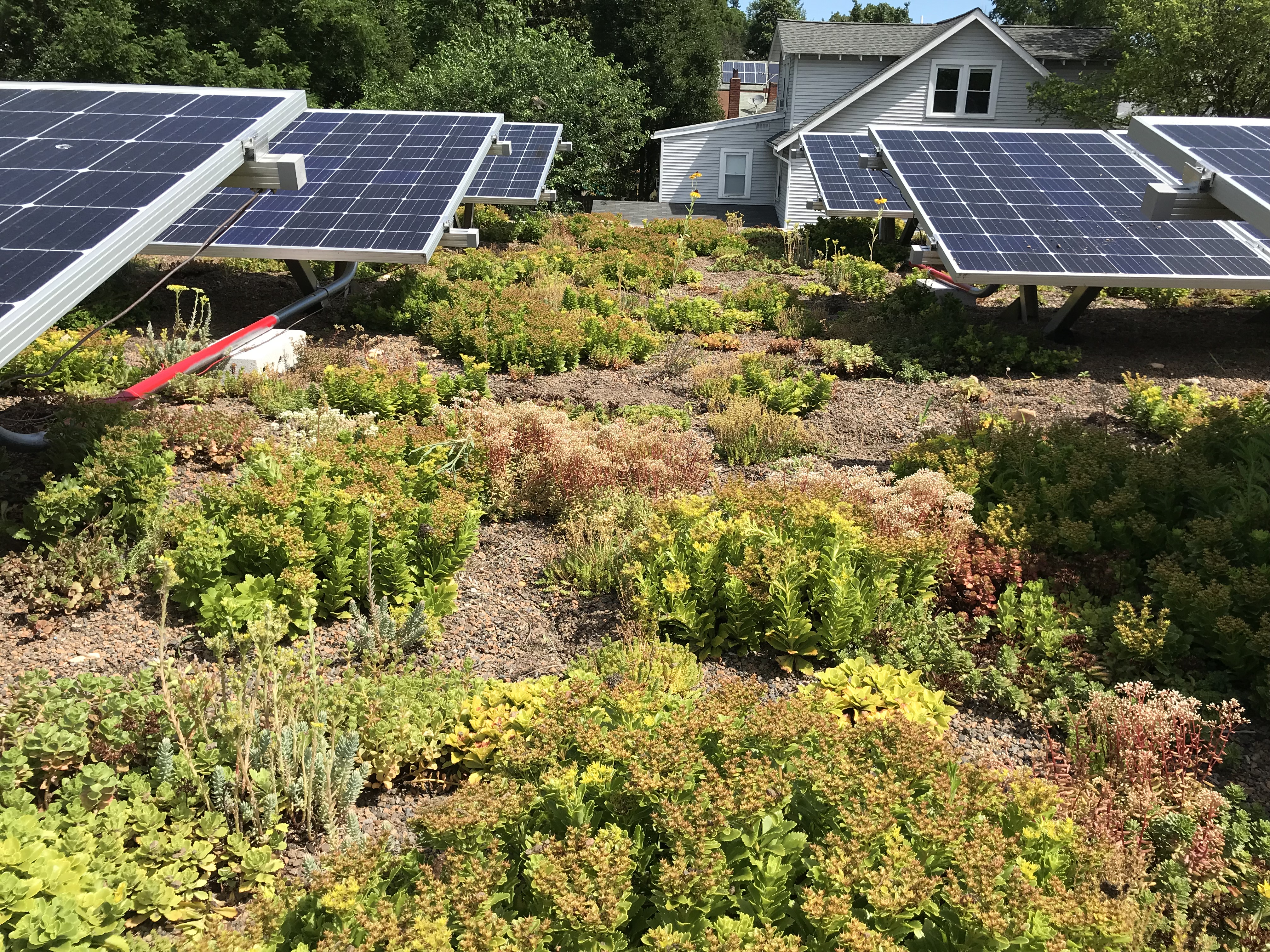 Solar panels were installed over a green roof, the first such installation in the United States. Rooftop vegetation has the dual benefit of reducing stormwater runoff and helping insulate the home from summer solar heat gain and winter heat loss. The solar array provides most of energy needs of the townhomes. 