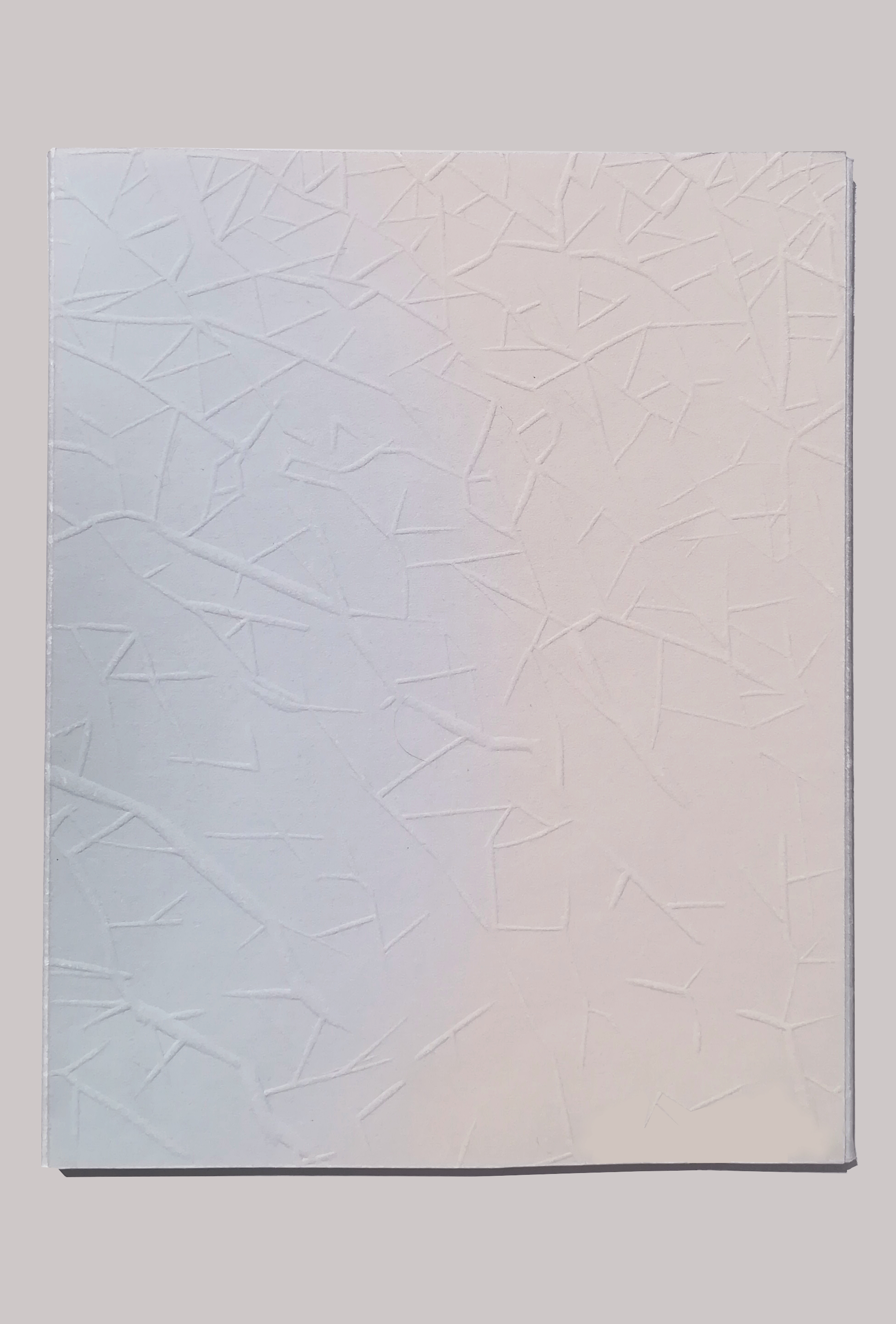 Éloge de la coquille