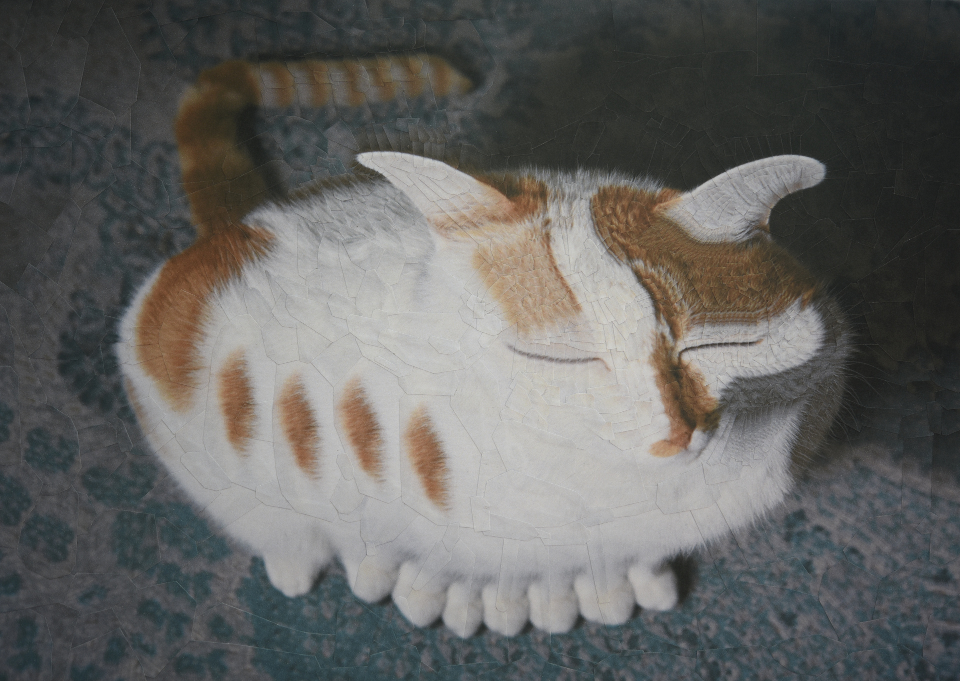 Charlie 28, 2020, 11.6 x 8.2 inches