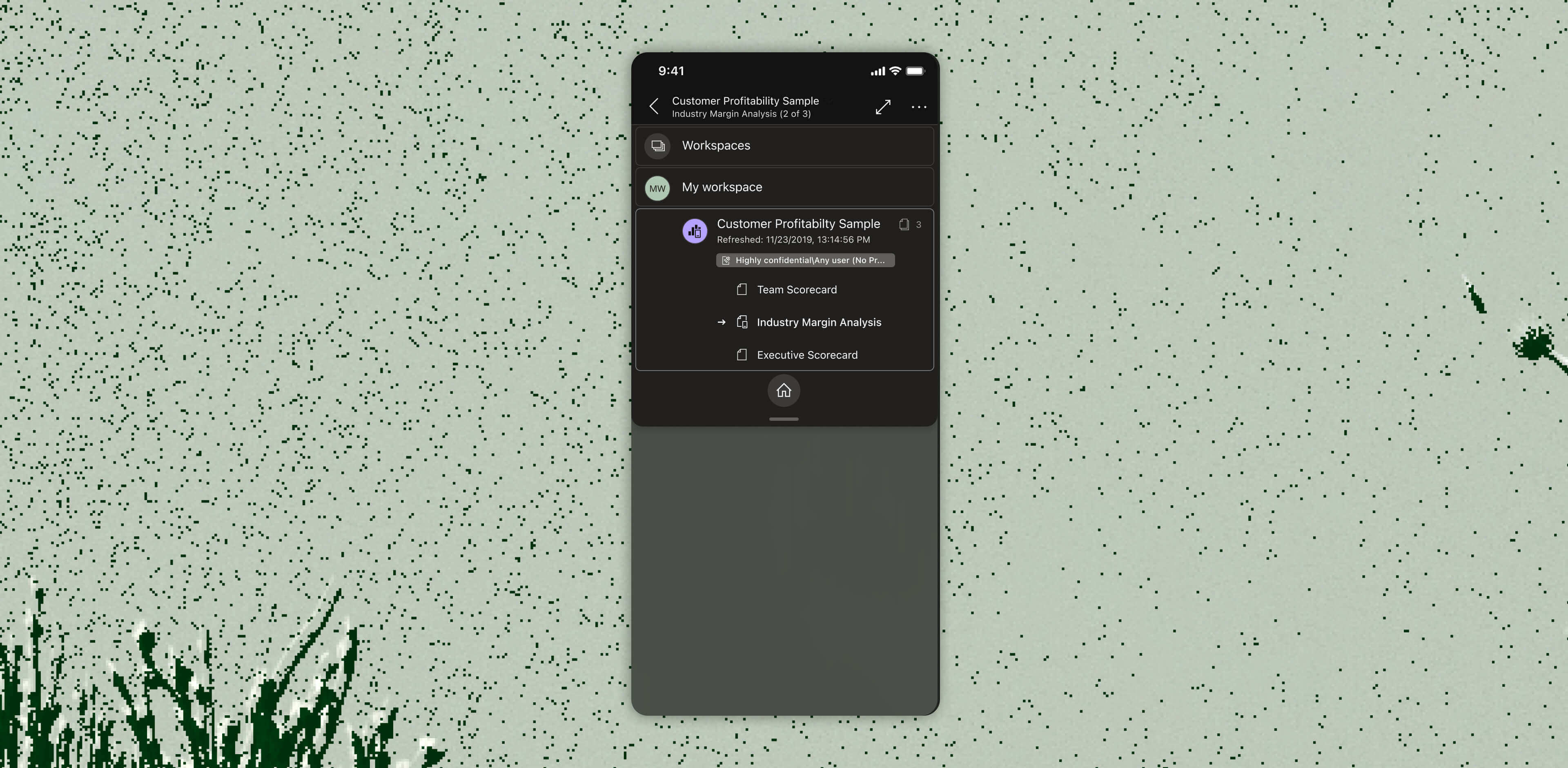"Customer Profitability" report navigation tree. Showing the report has 3 pages, the user is on page 2. Dark mode.