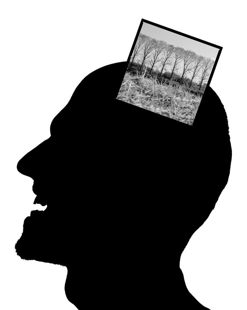 1997 02Back to NatureN&aacute;vrat k pr&iacute;rode