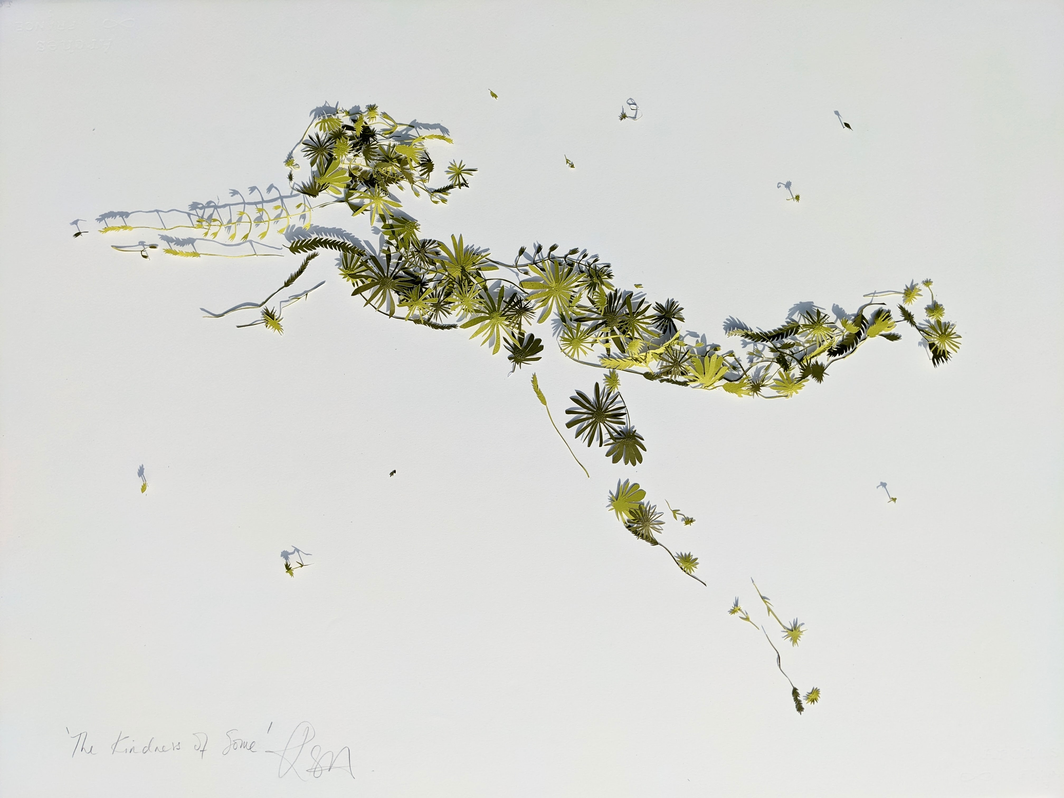 The Kindness of Some