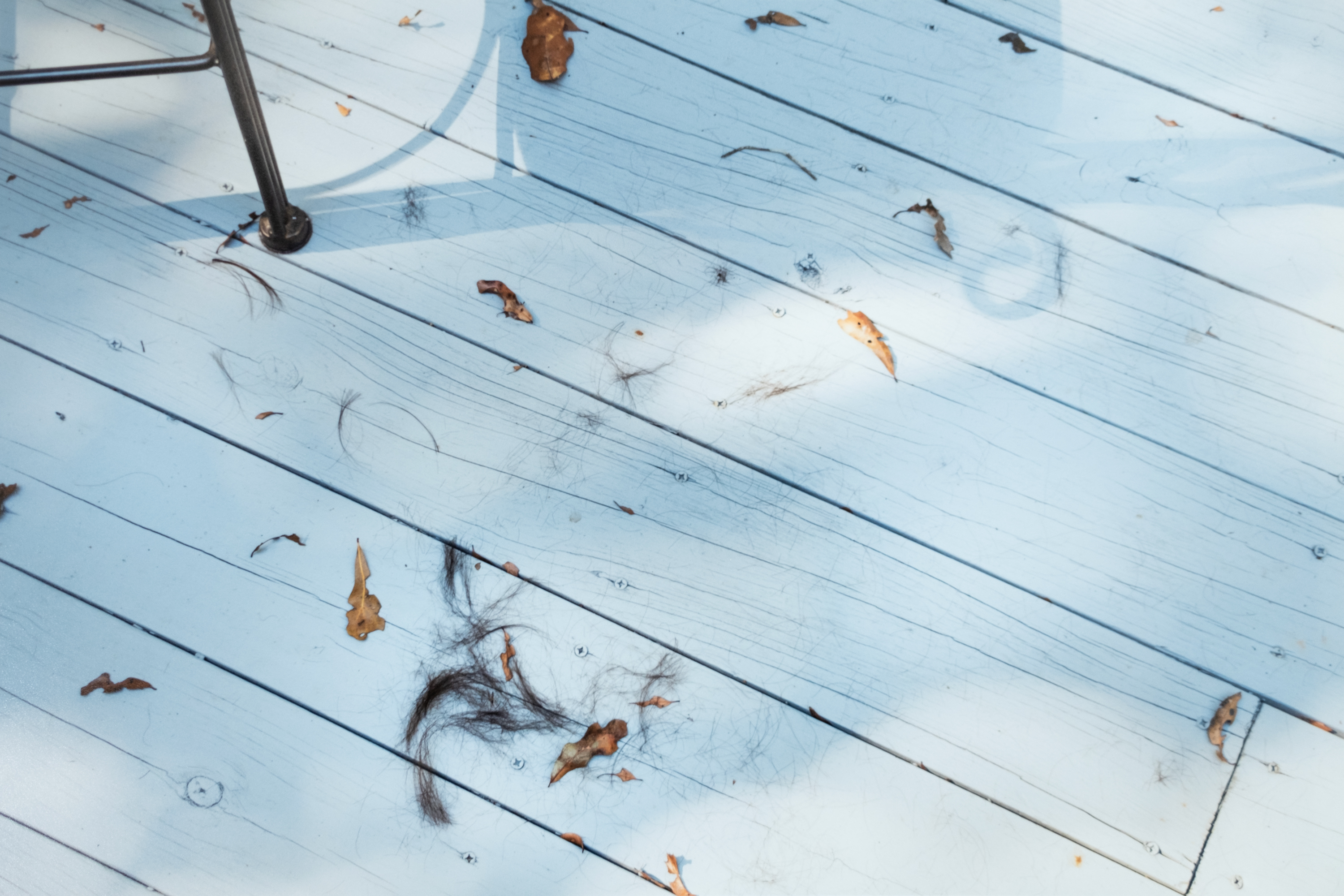 Propensity #2, 2014 Pigment on paper7.5x11.5 in.