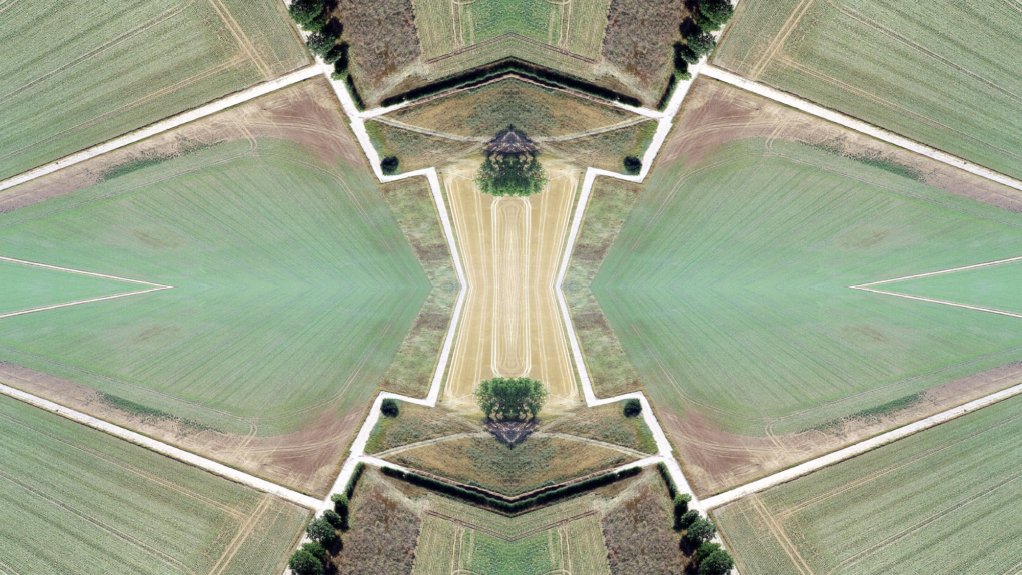 Force Field, digital print, 44 x 99 cm [detail]