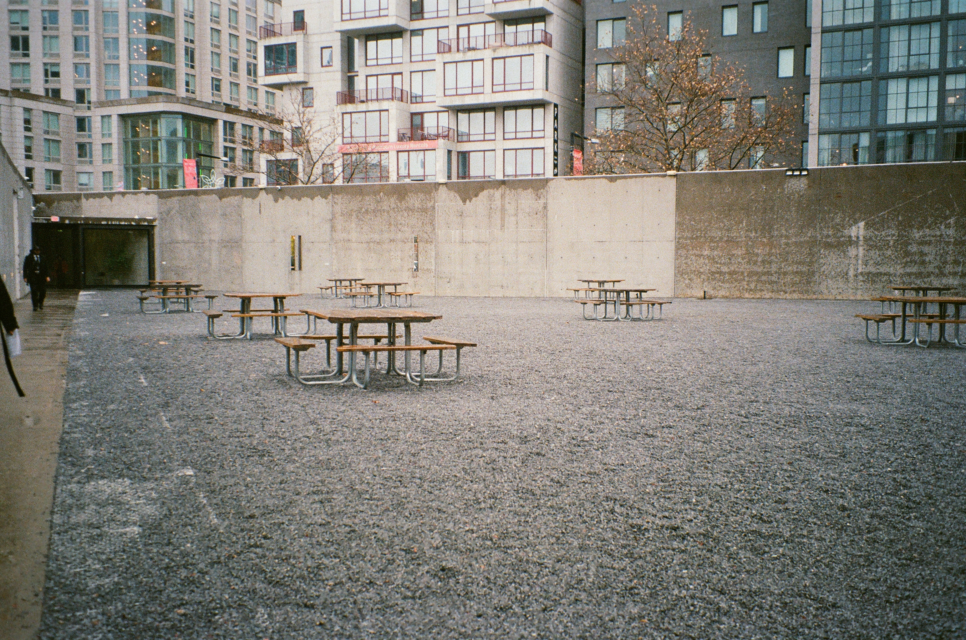 MoMA PS1 Cafeteria, 2023