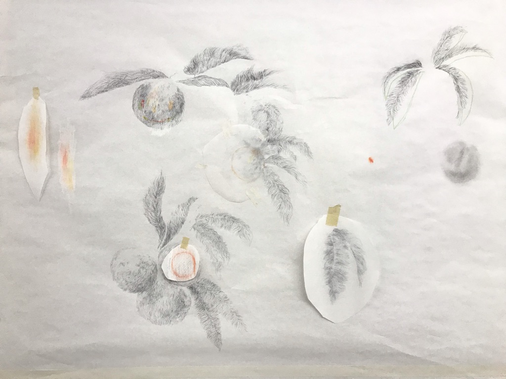 2019. Ballpoint pen, oil pastel, graphite, and colored pencil on paper, 48"x46".